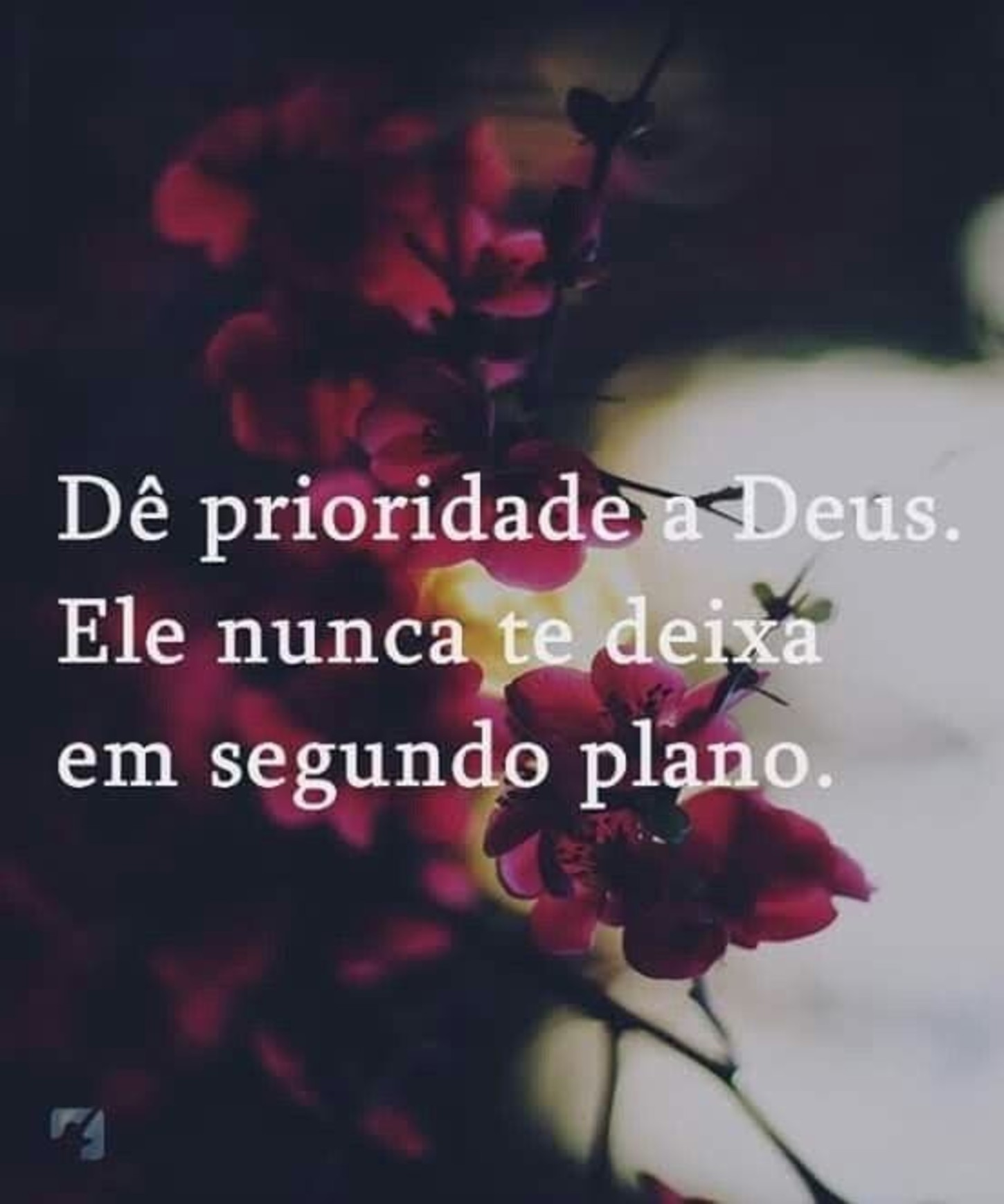 Imagens frases Facebook 48