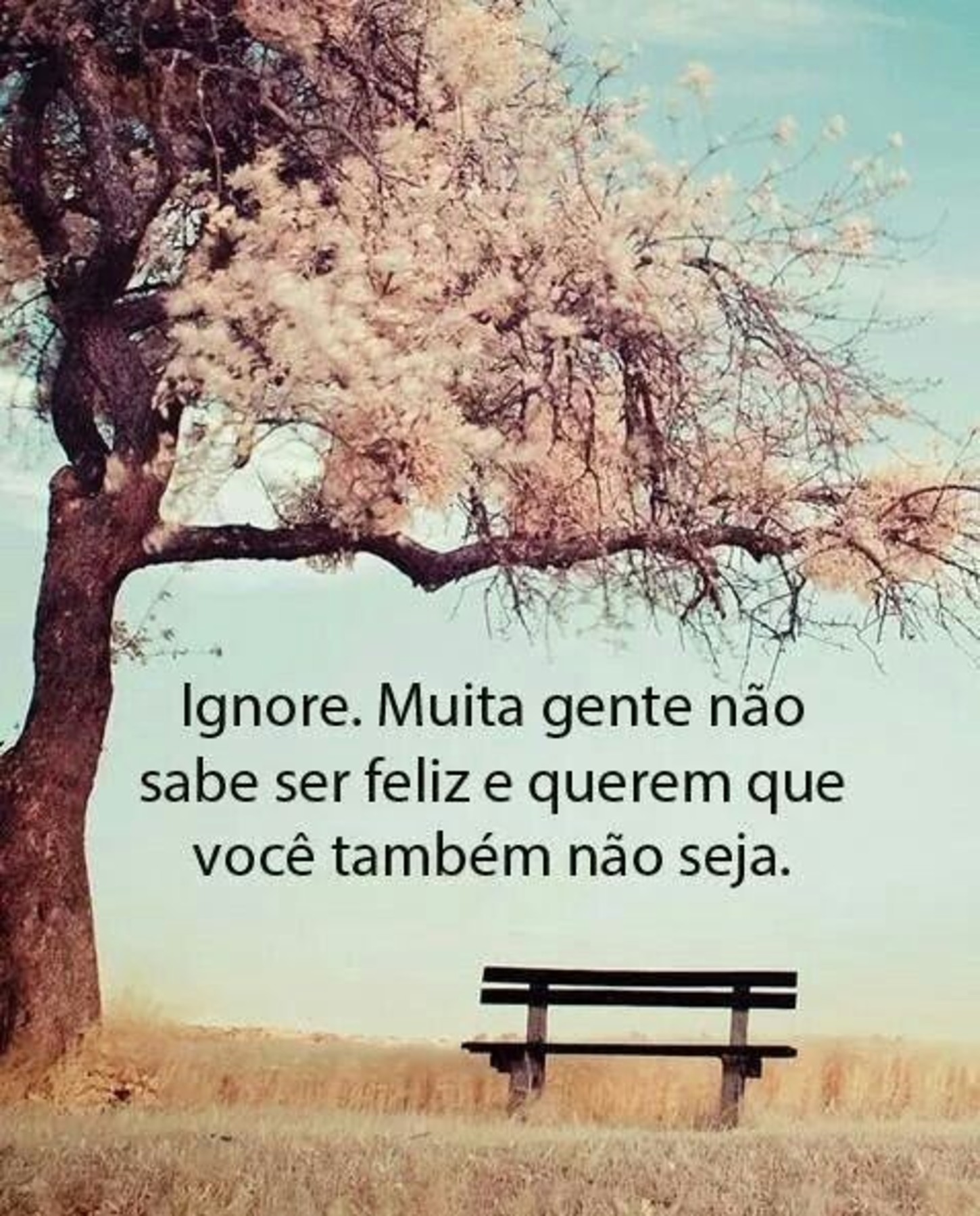 Imagens frases Pinterest 449