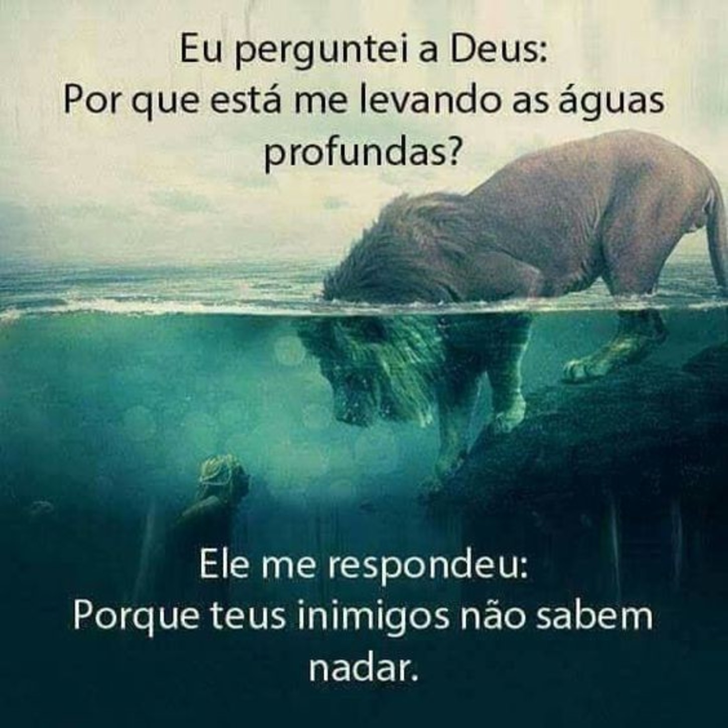 Imagens frases Tumblr Imagens frases Tumblr