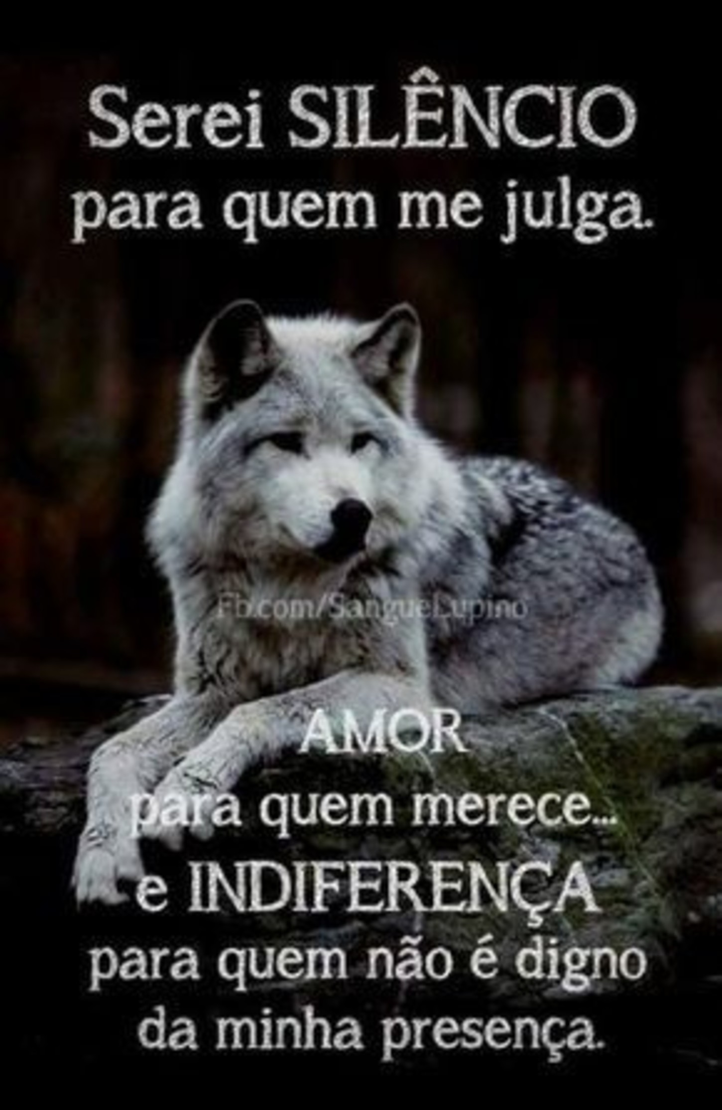 Imagens frases WhatsApp 46