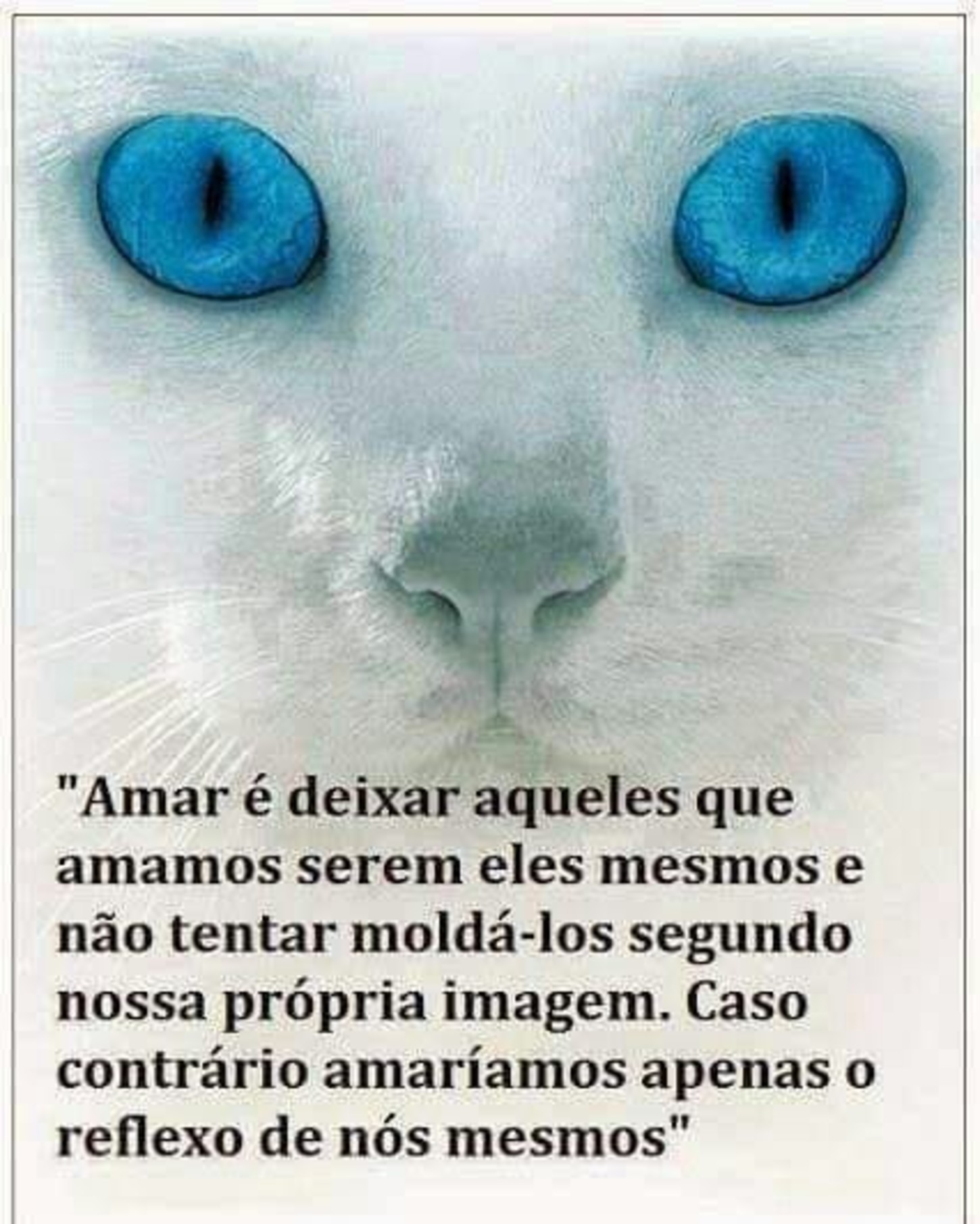 Imagens frases para WhatsApp 50