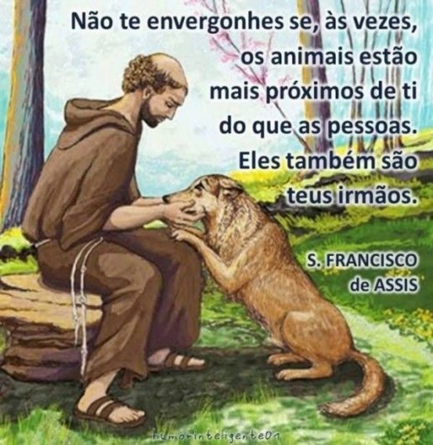 Imagens frases positivas 49