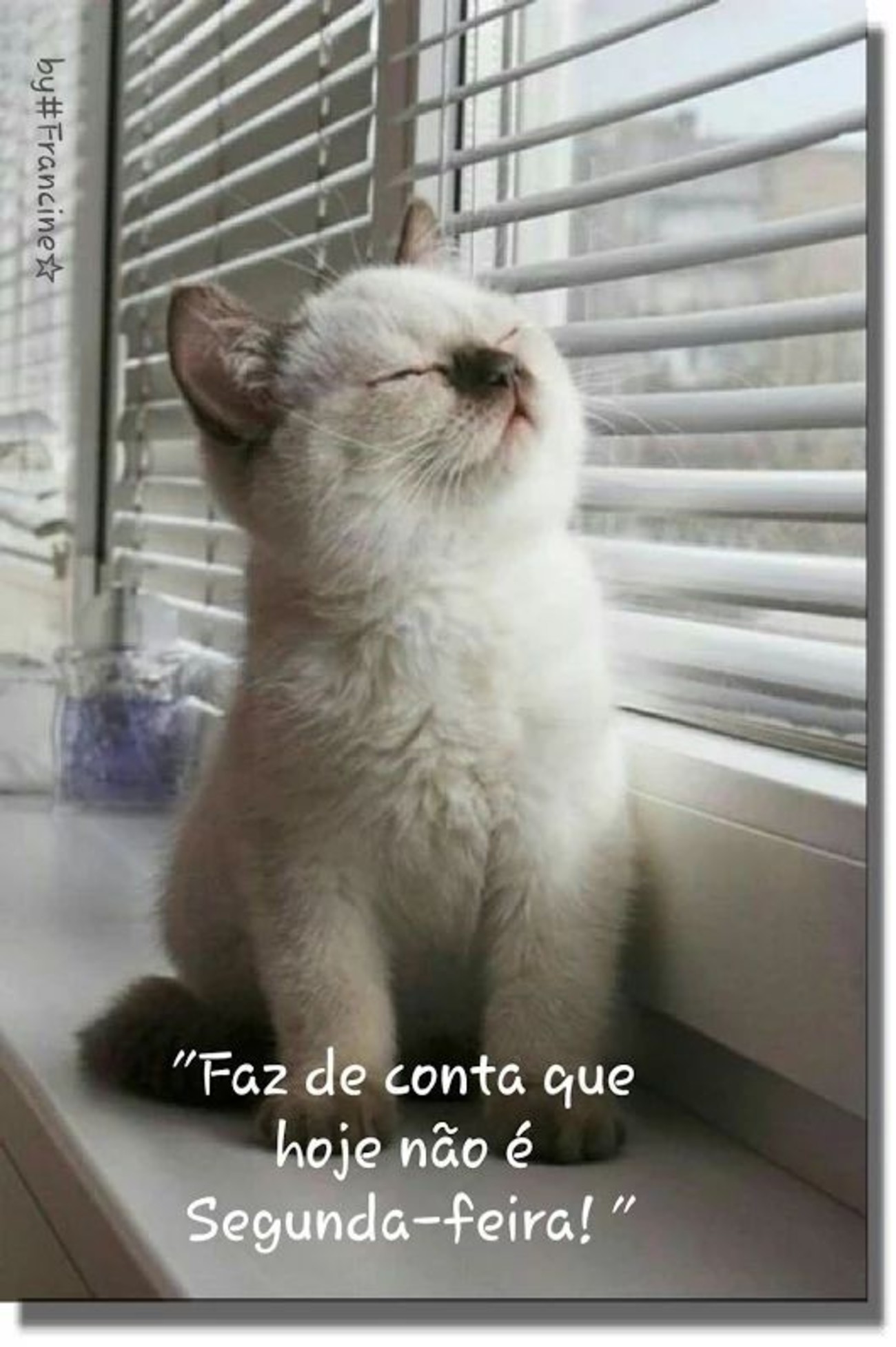 Lindas mensagens Feliz Segunda-feira 191