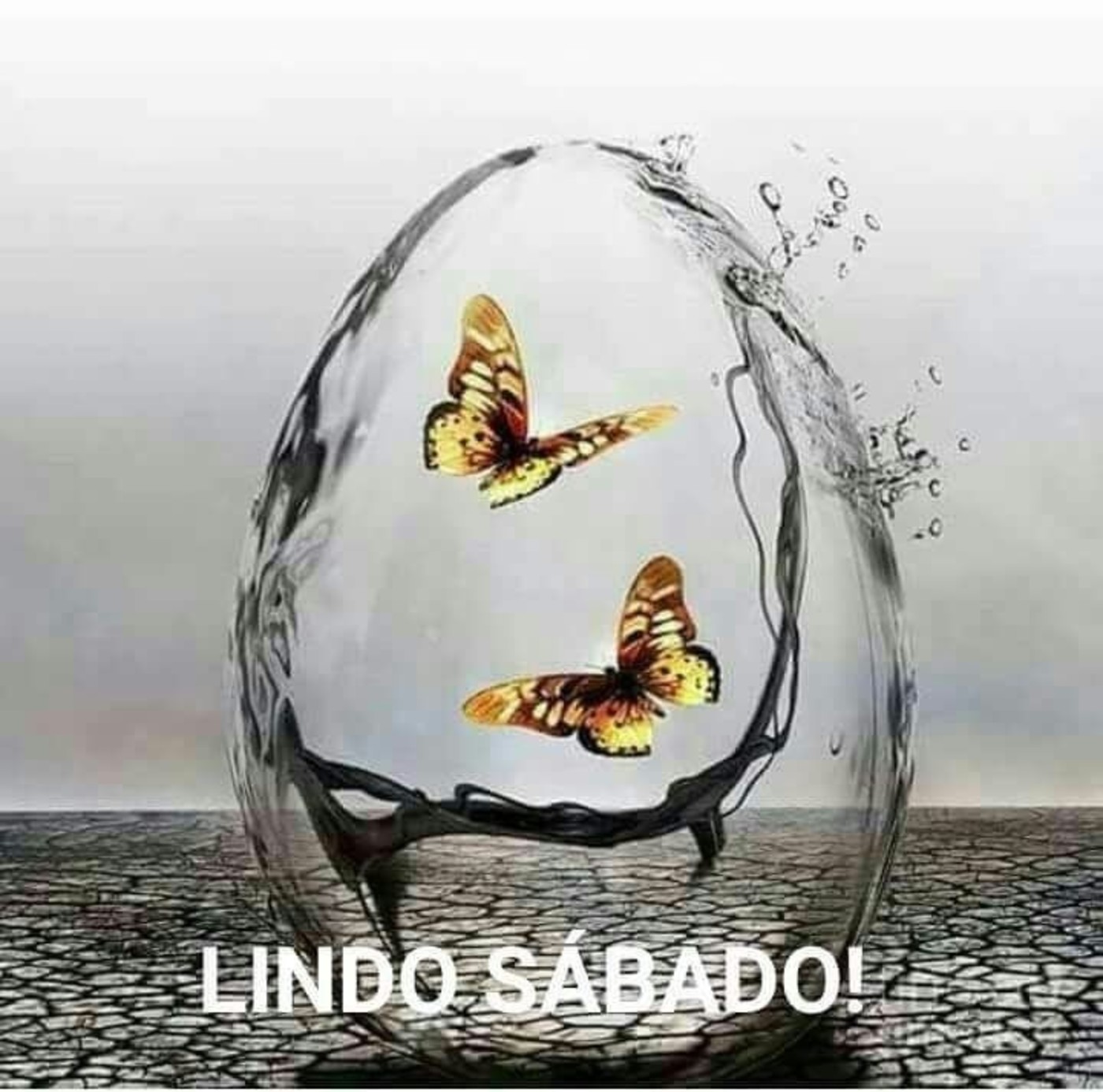 Lindo Sábado 300