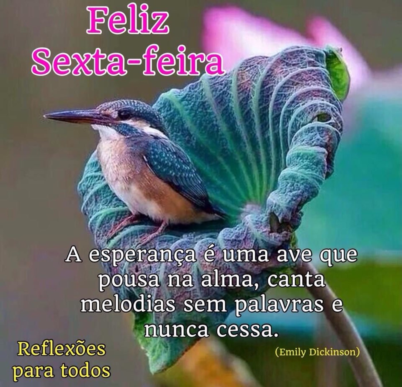 Mensagem de feliz sexta feira e bom dia 62