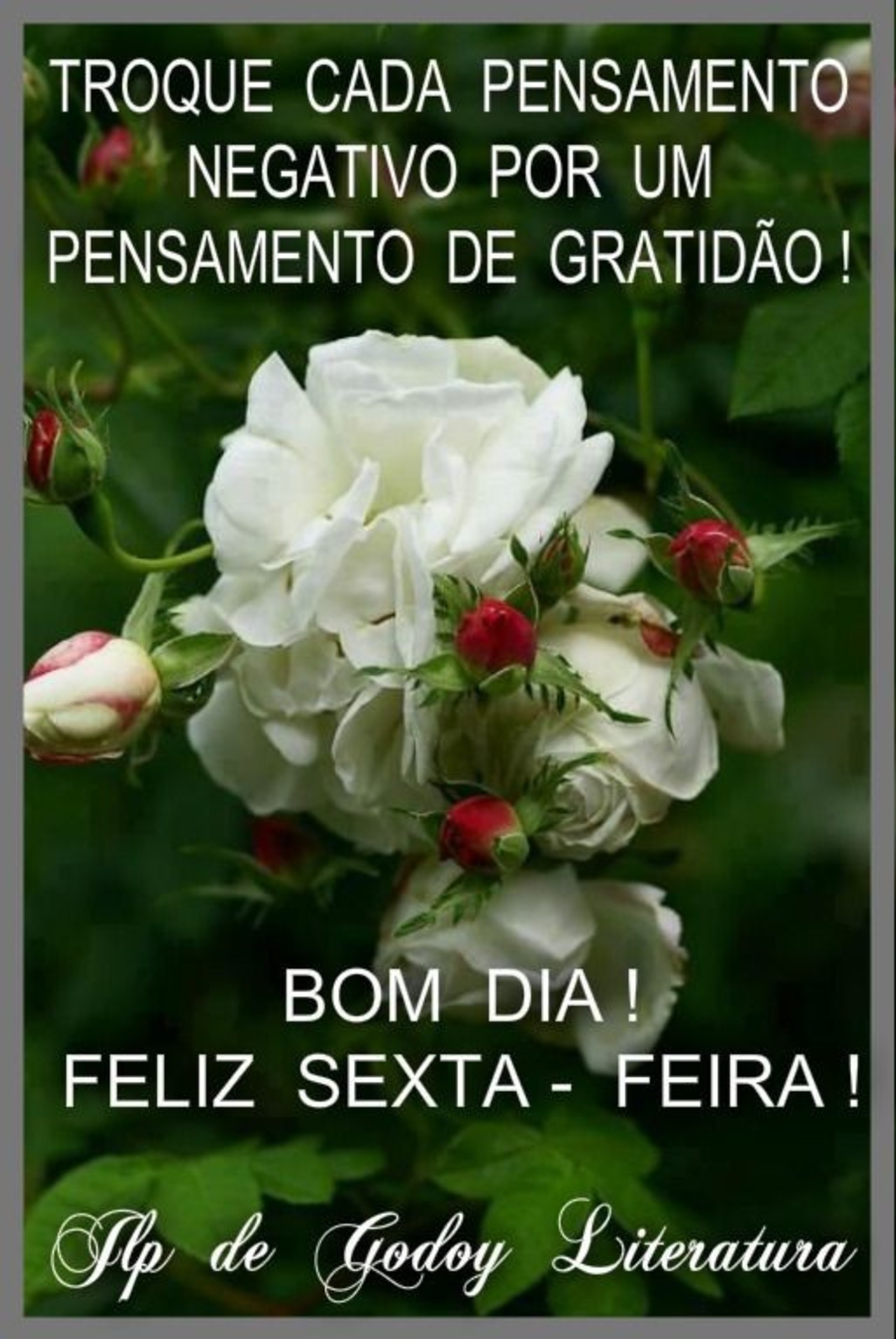 Mensagem de feliz sexta feira e bom dia 63