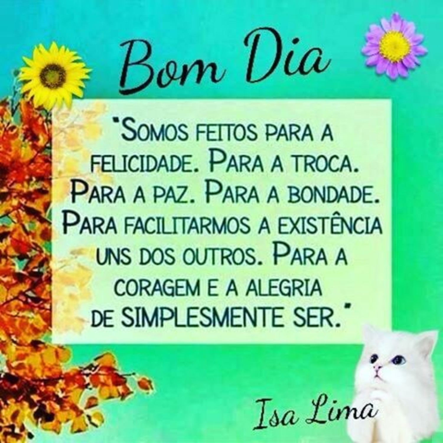 Mensagens belas do Bom Dia para Facebook 5