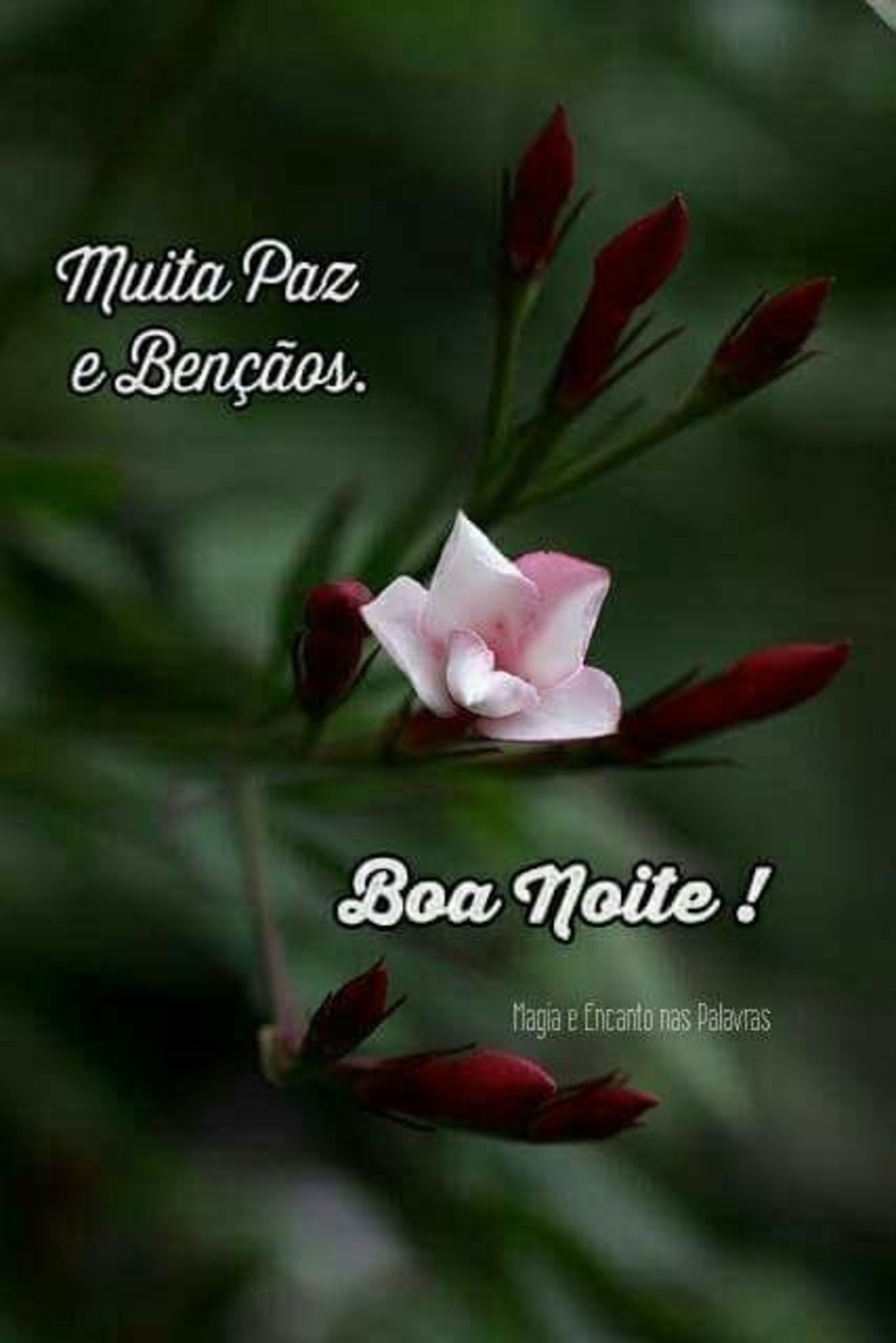Mensagens de Boa Noite belas mensagens 84