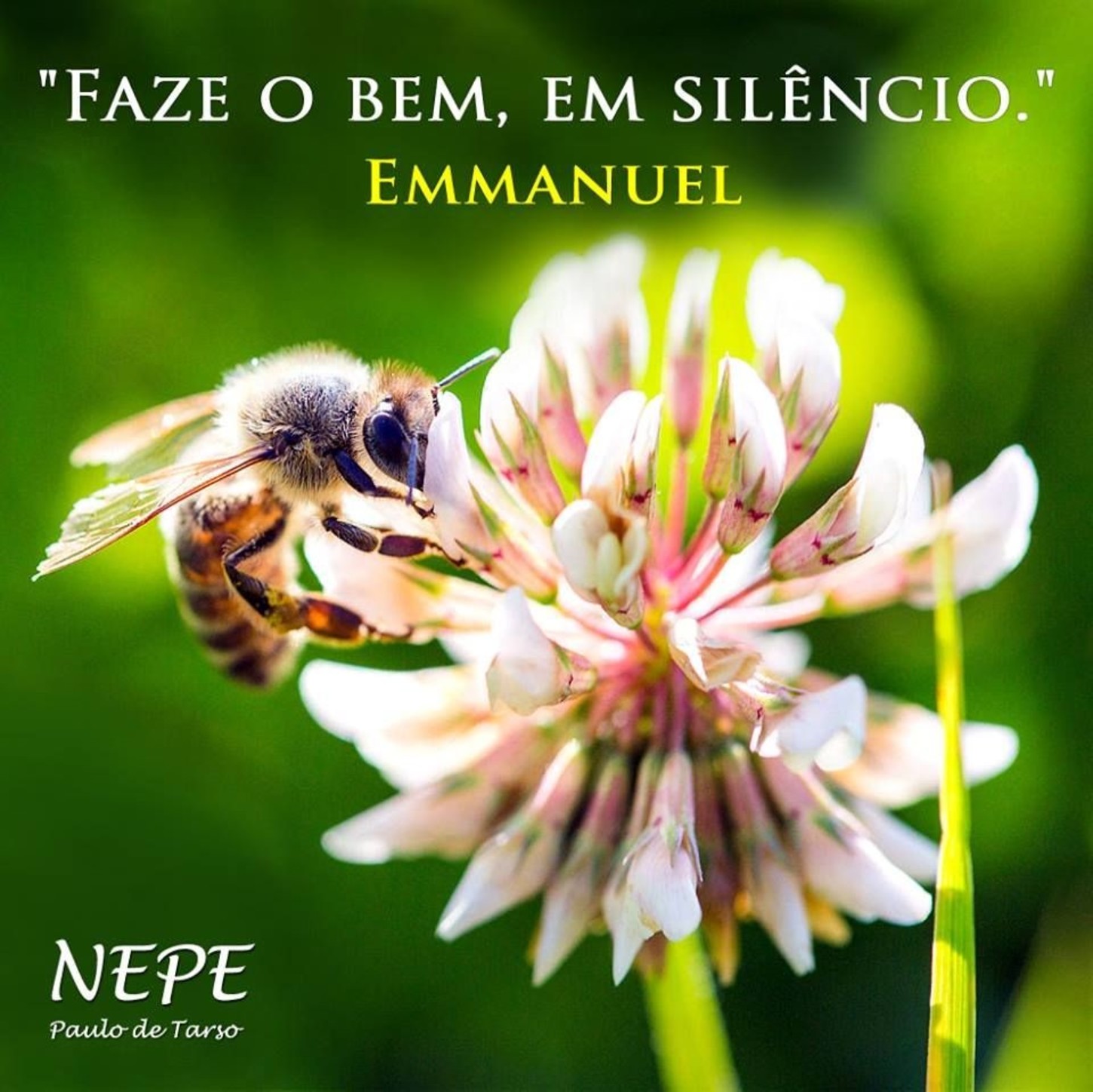 Mensagens e frases para Facebook 89