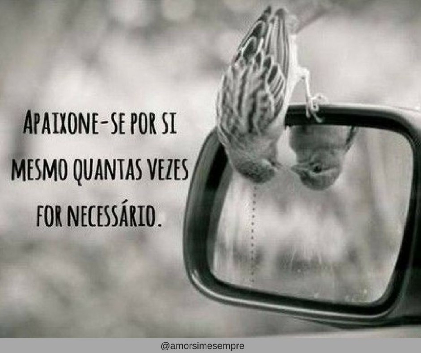 Mensagens frases bonitas 525