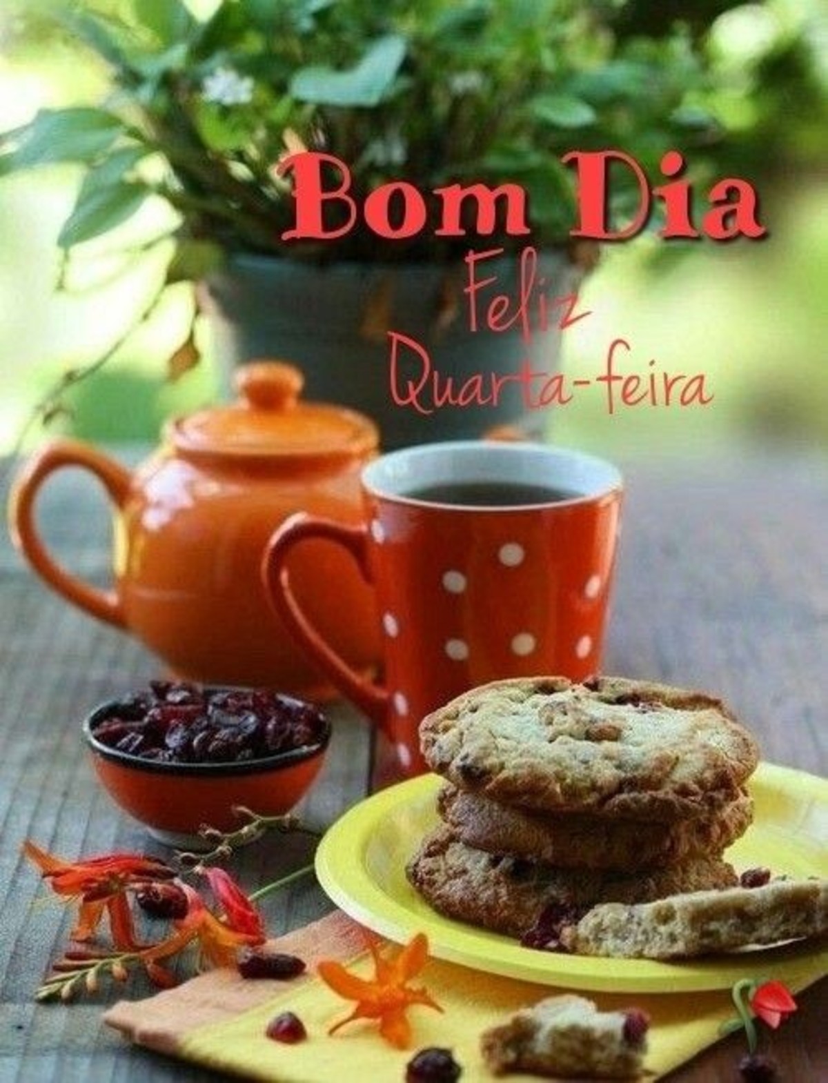 Mensagens lindas Feliz Quarta-Feira 199