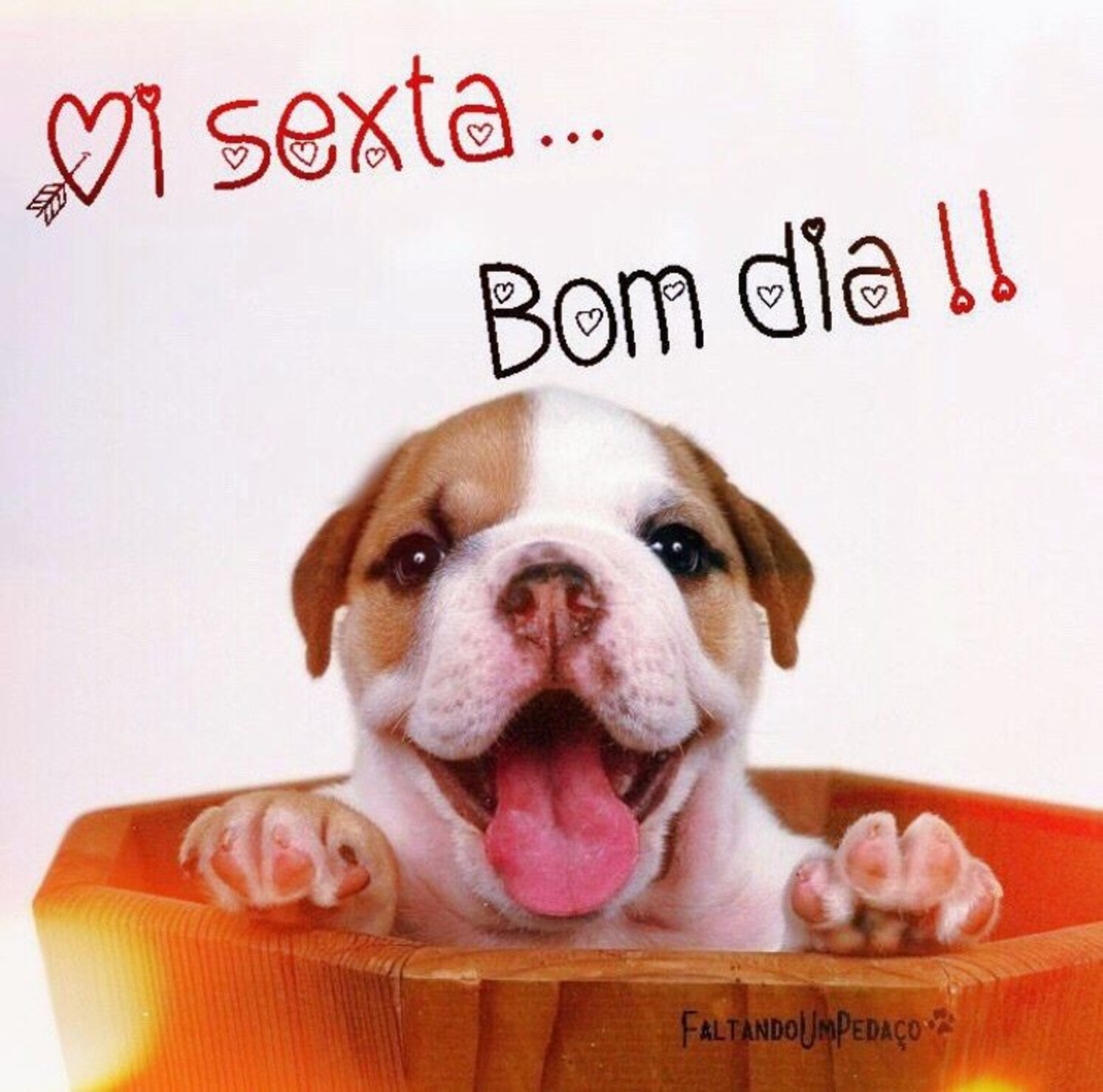 Oi Sexta Bom Dia 87