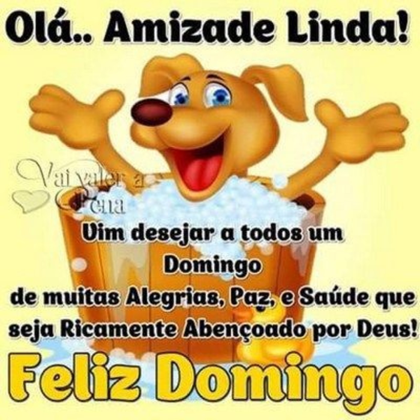 Olá amizade linda Feliz Domingo 174