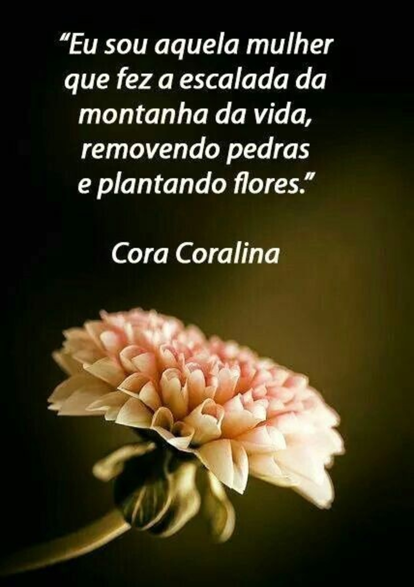Palavras para compartilhar 408