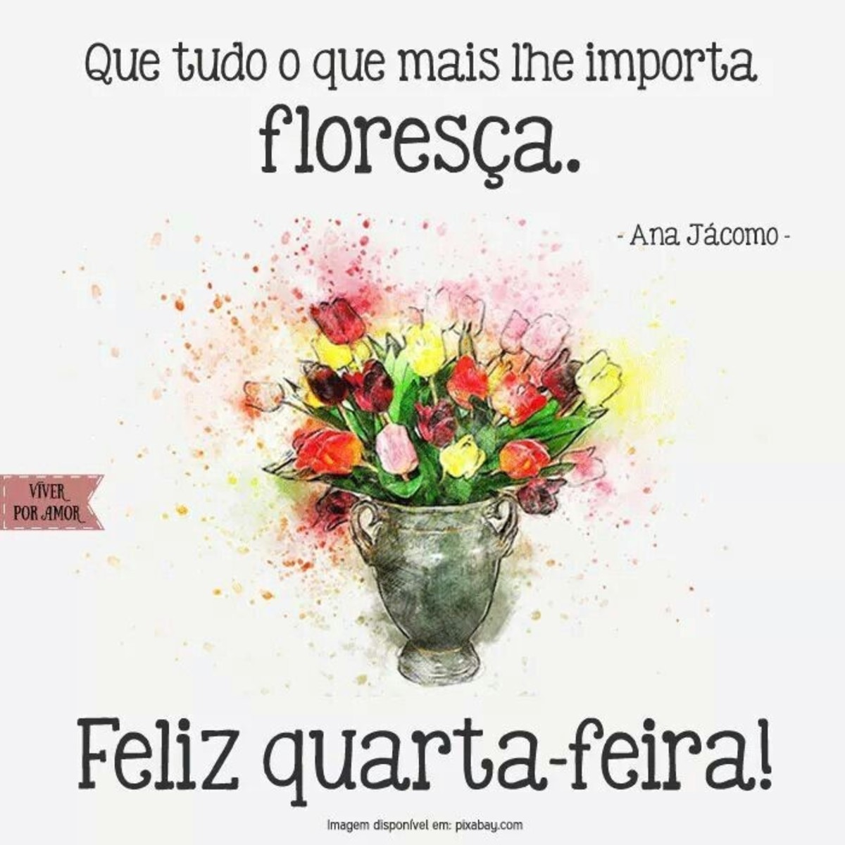 Quarta-Feira frases 142