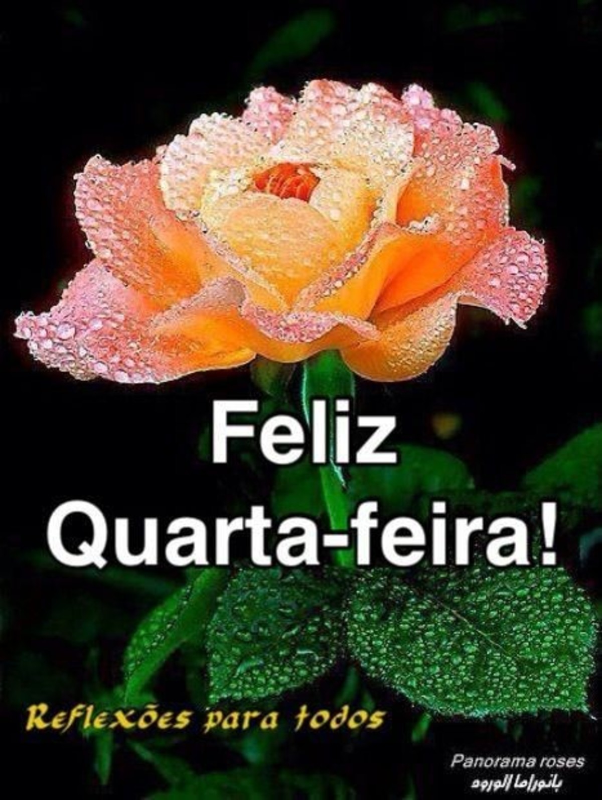 Quarta-Feira mensagens 131