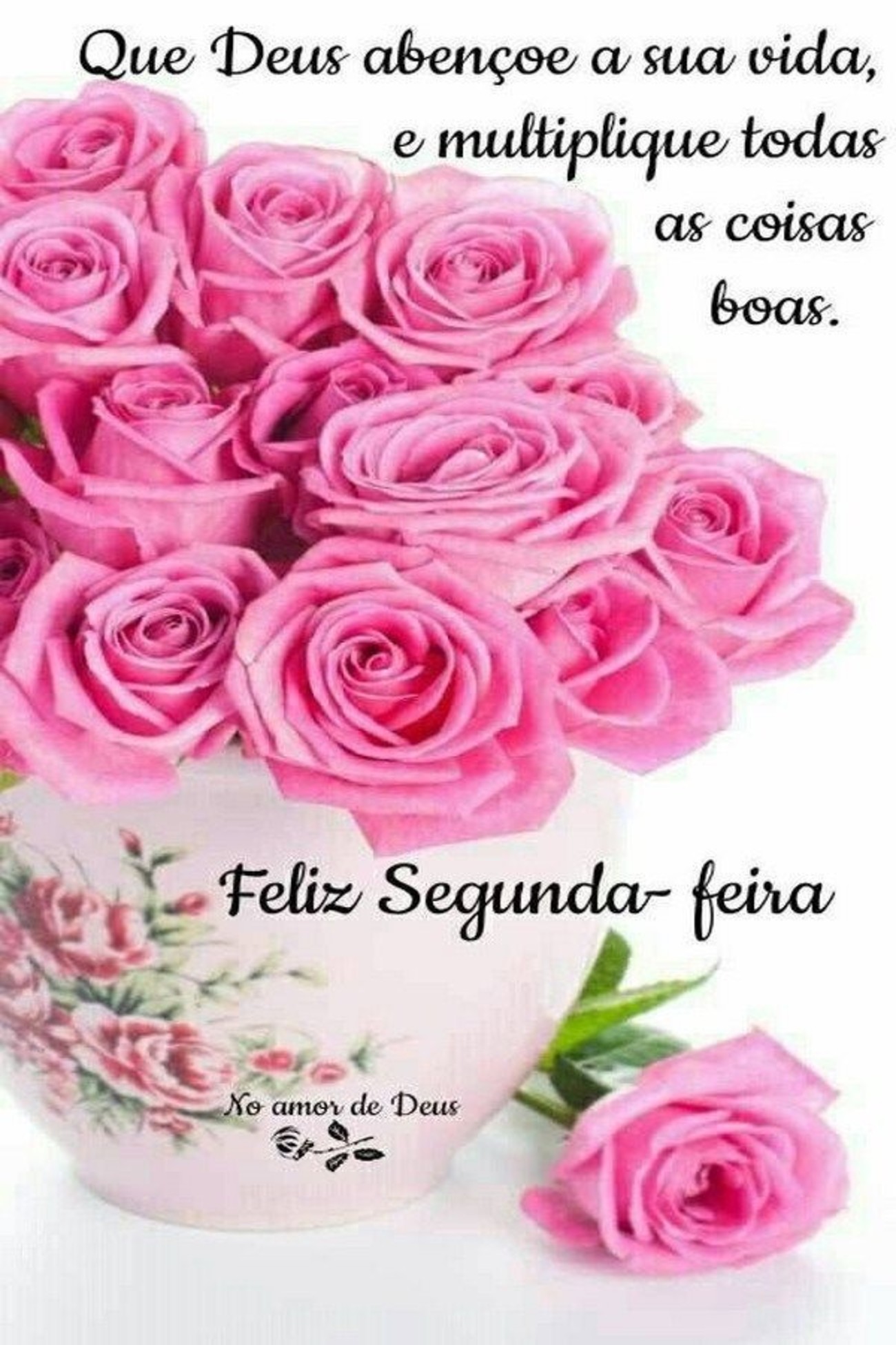 Segunda feira 113
