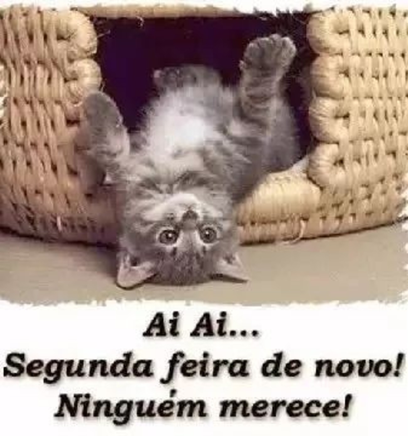 Segunda-feira Imagens 117