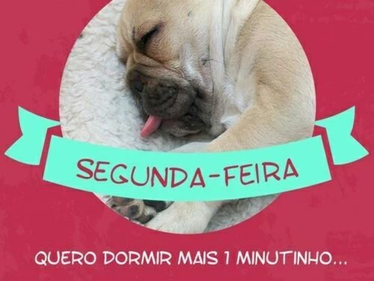 Segunda-feira quero dormir mais 1 minutinho 164