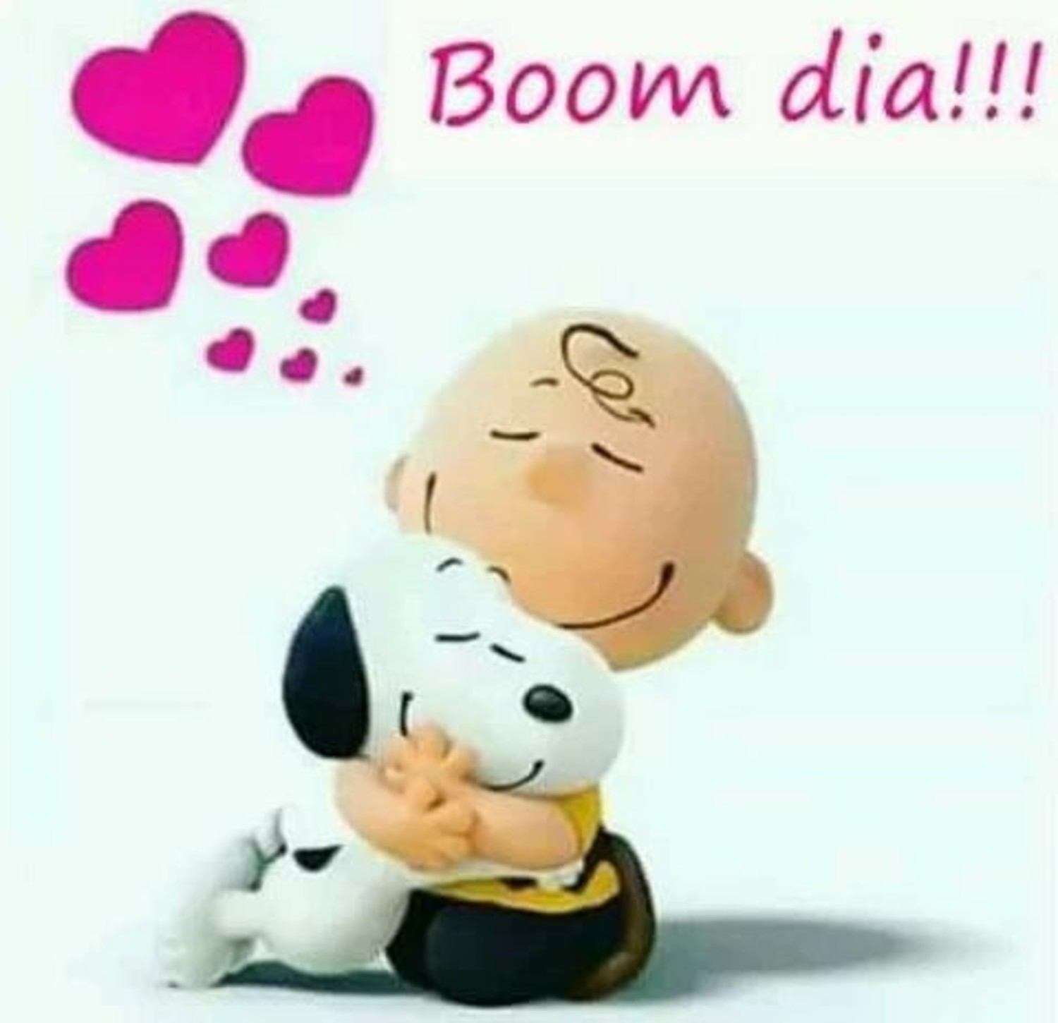 Snoopy Bom Dia belas imagens 229