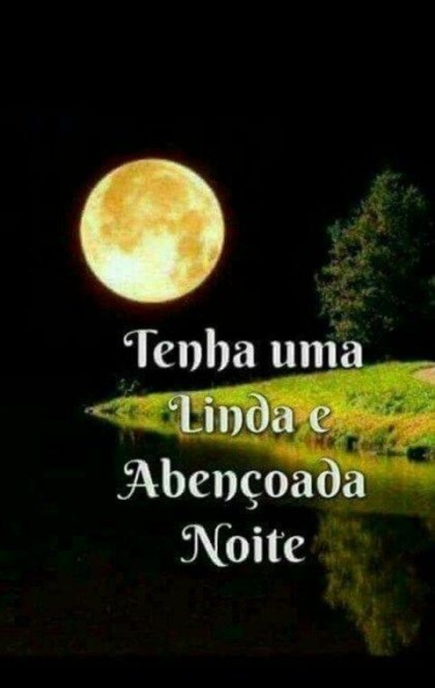 Tenha uma linda Noite 274