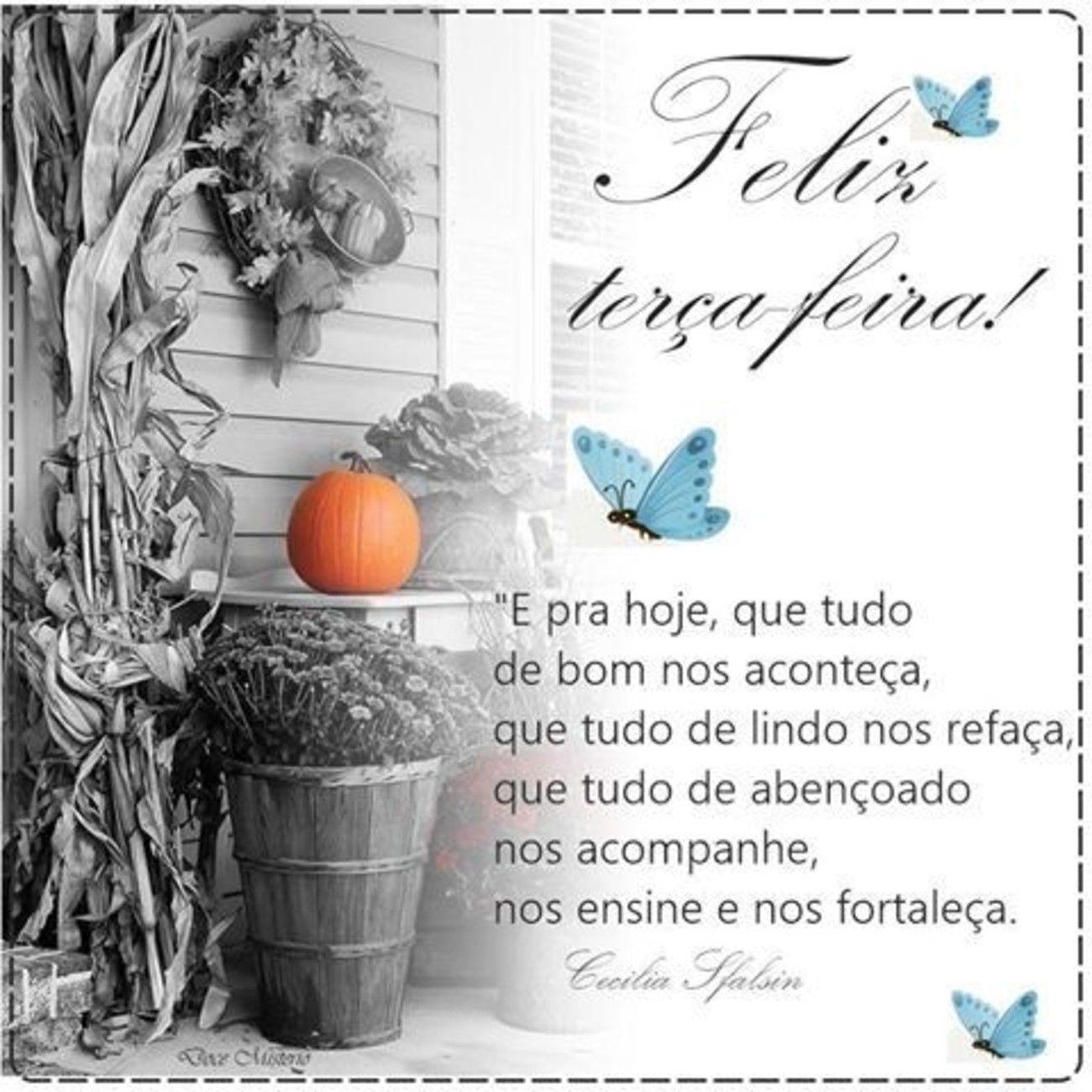 Terça-feira frases 154