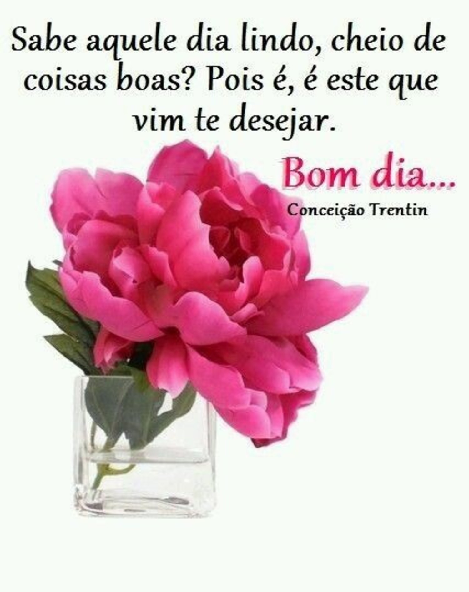 Whatsapp Bom Dia carinhoso imagem 363