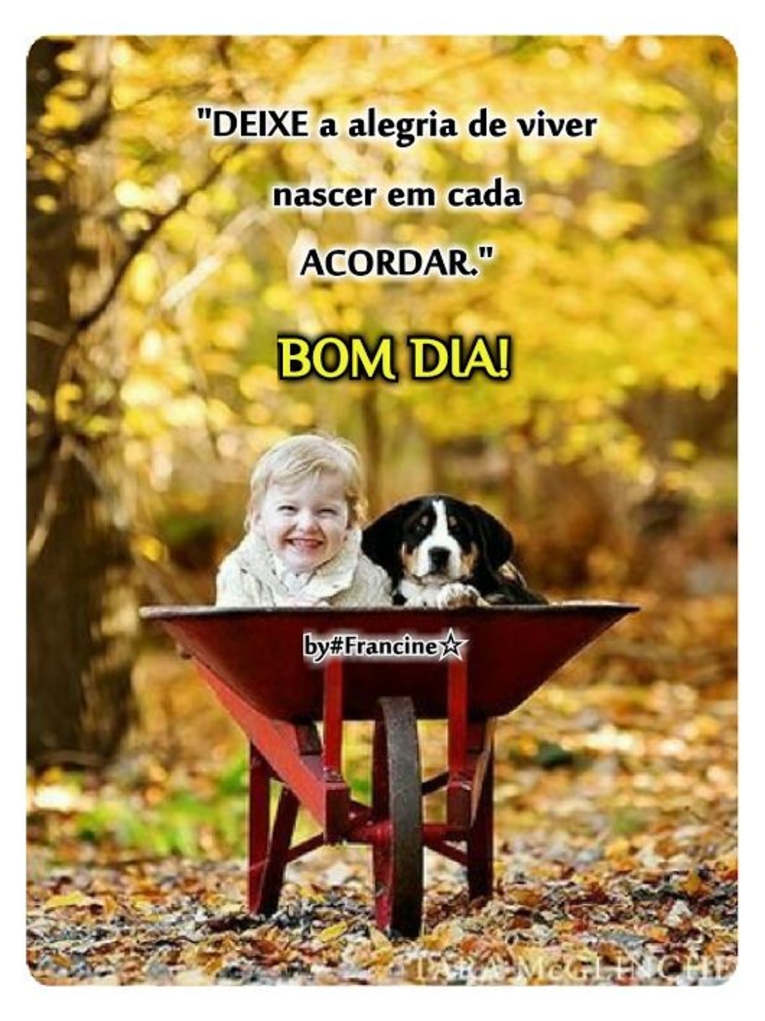 Whatsapp Bom Dia com imagens bonitas 346