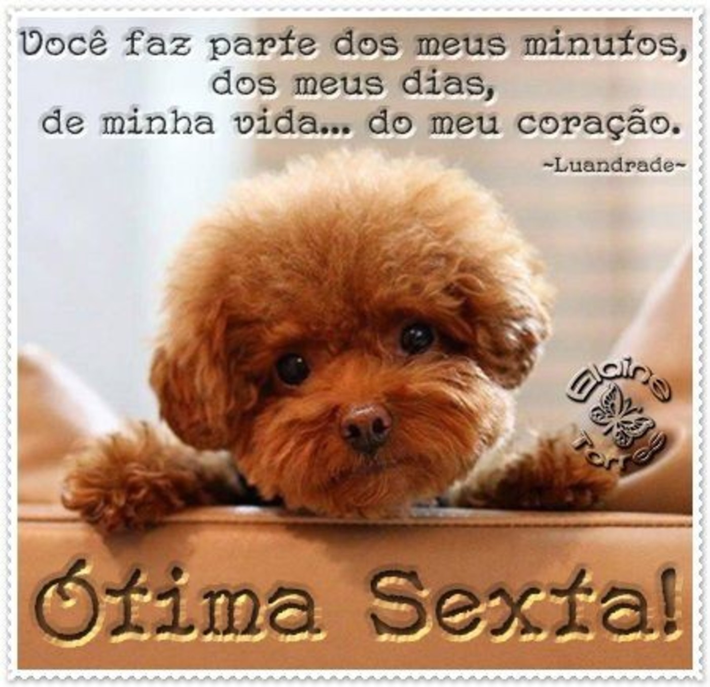 Ótima Sexta-feira 52