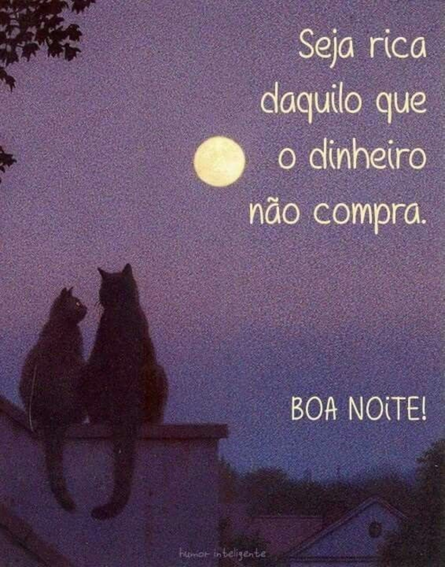 Boa Noite 1001