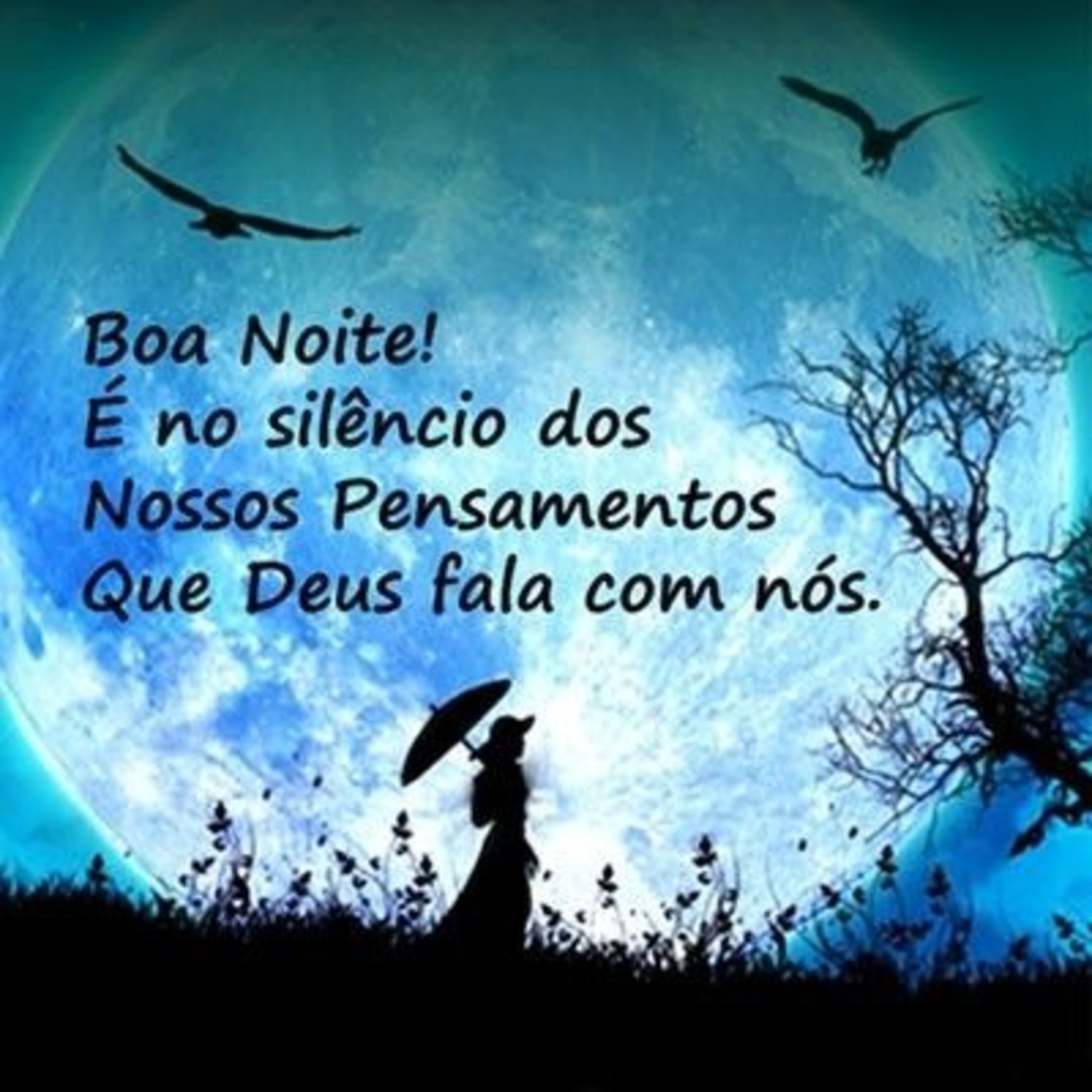 Boa Noite 1006