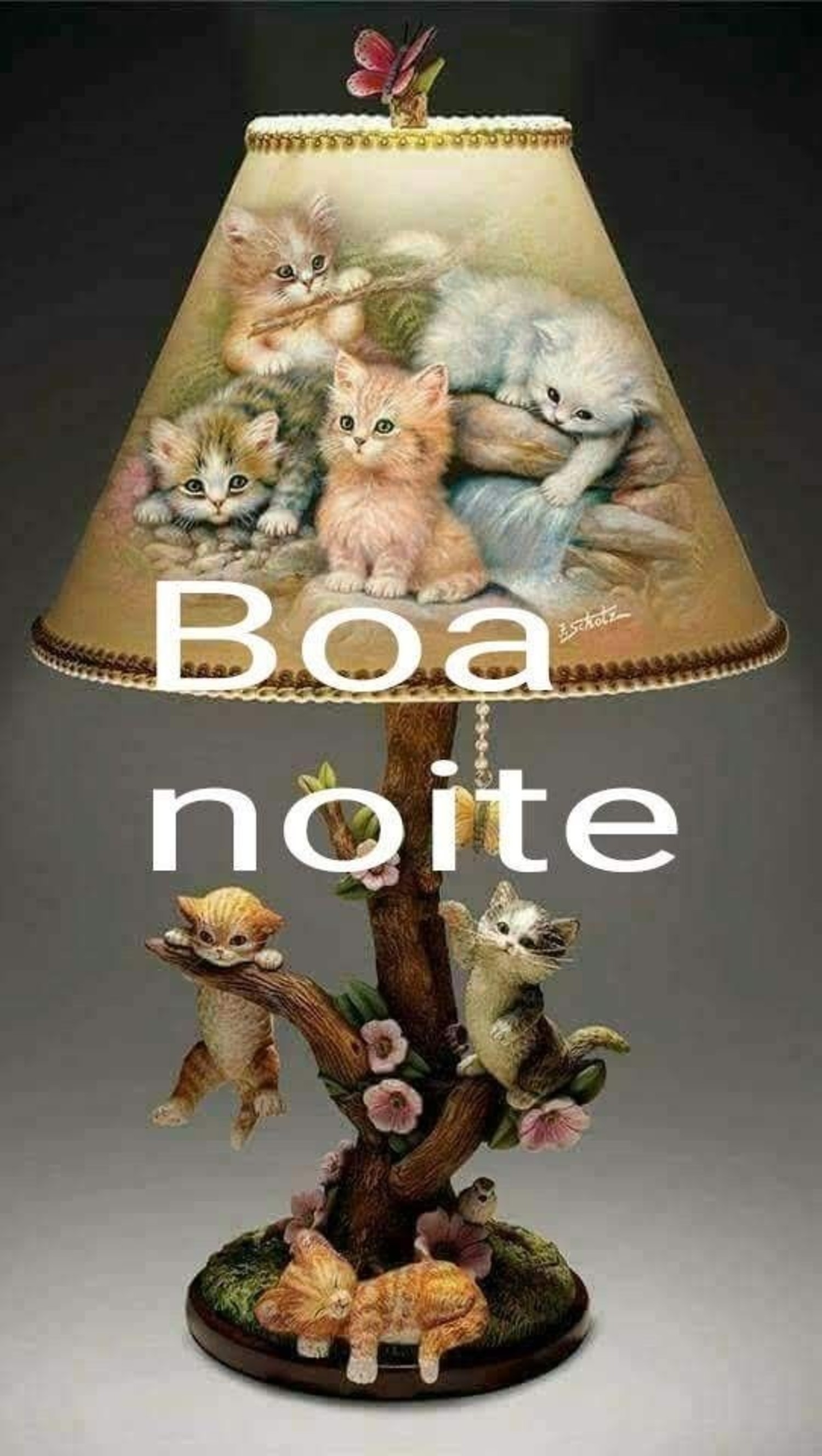 Boa Noite 751