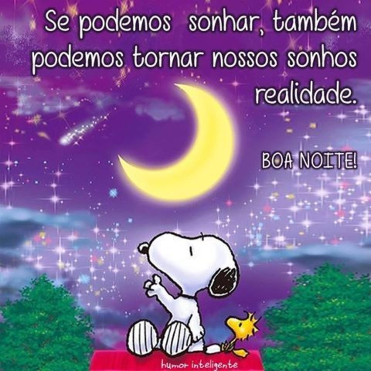 Boa Noite Snoopy 519