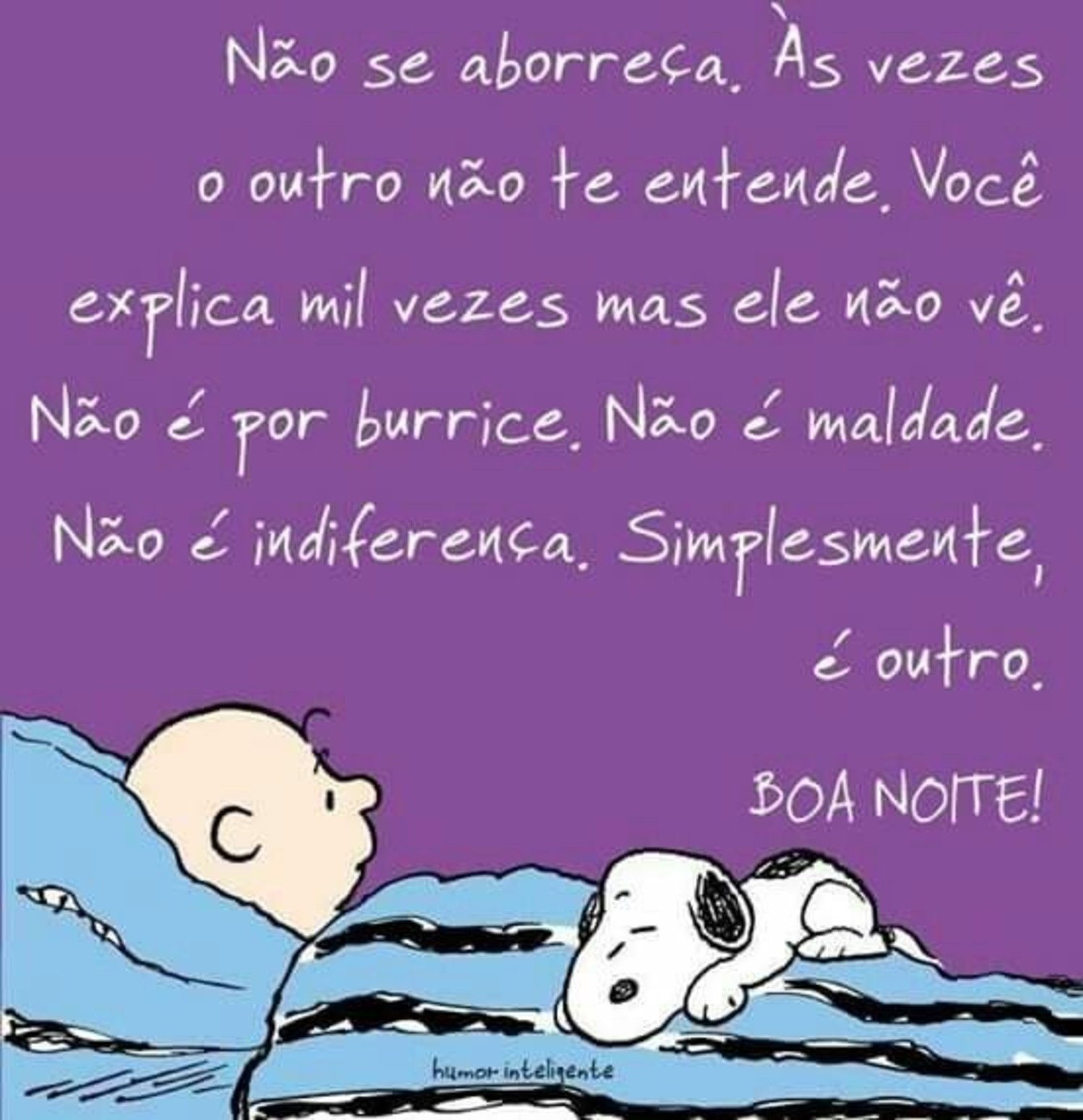 Boa Noite Snoopy 531