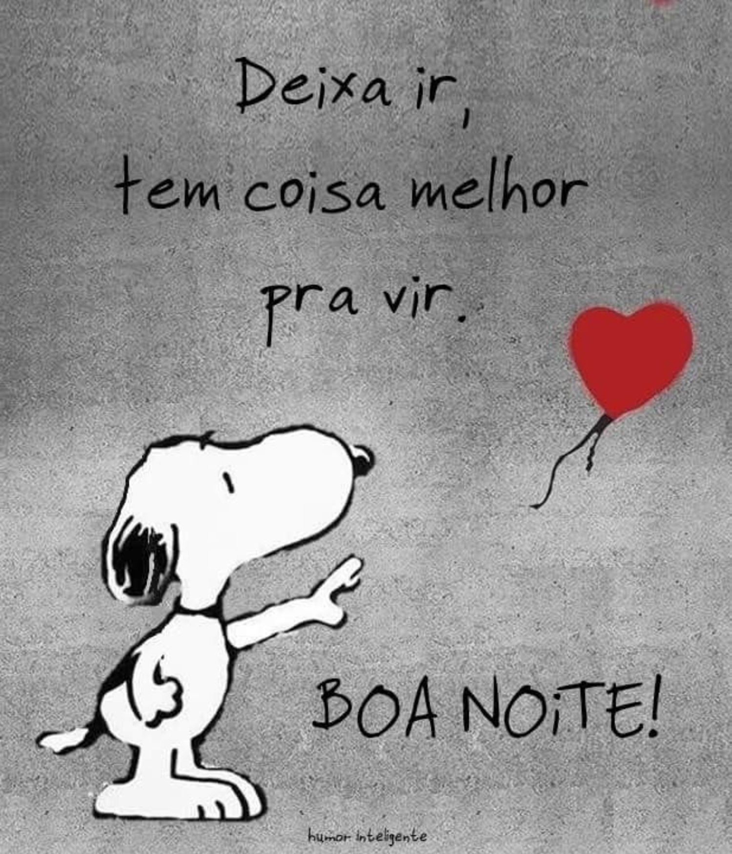 Boa Noite Snoopy 533