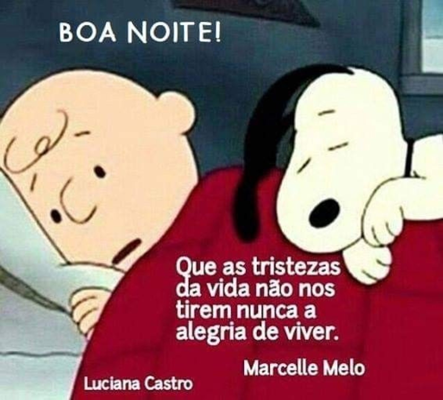 Boa Noite Snoopy 873