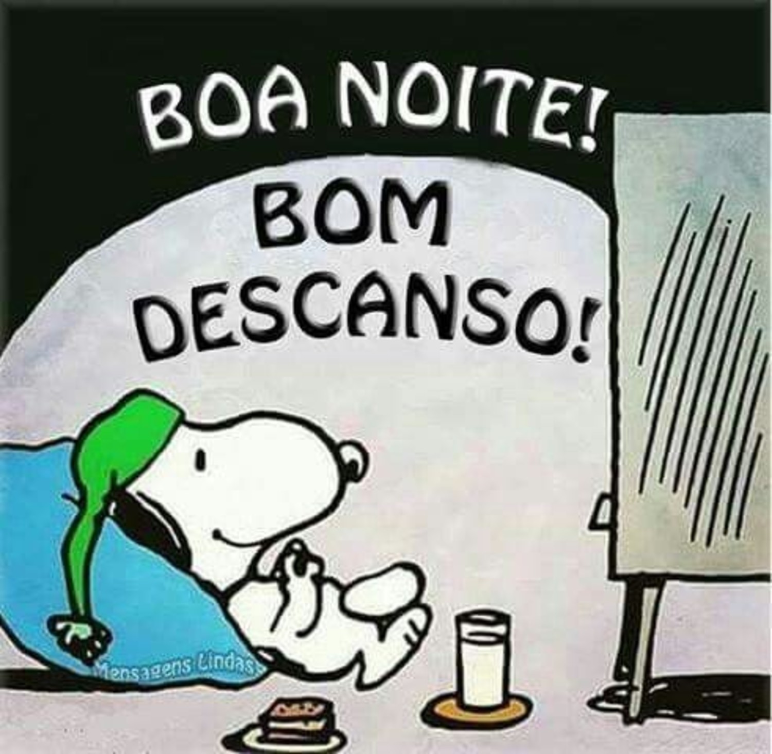 Boa Noite Snoopy 893