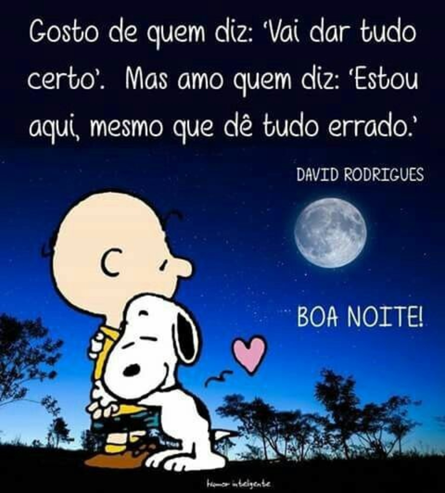 Boa Noite Snoopy 950