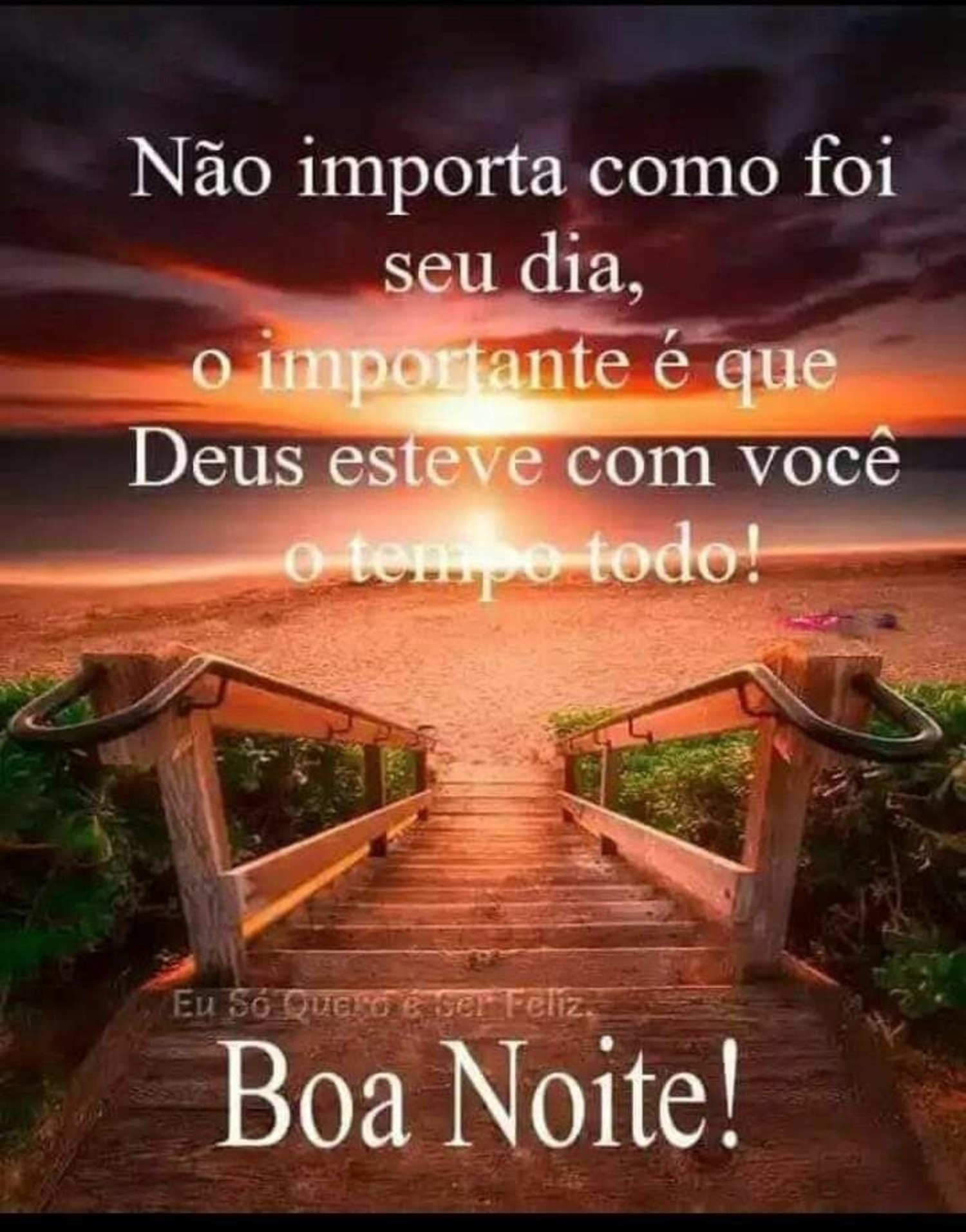 Boa Noite WhatsApp 555