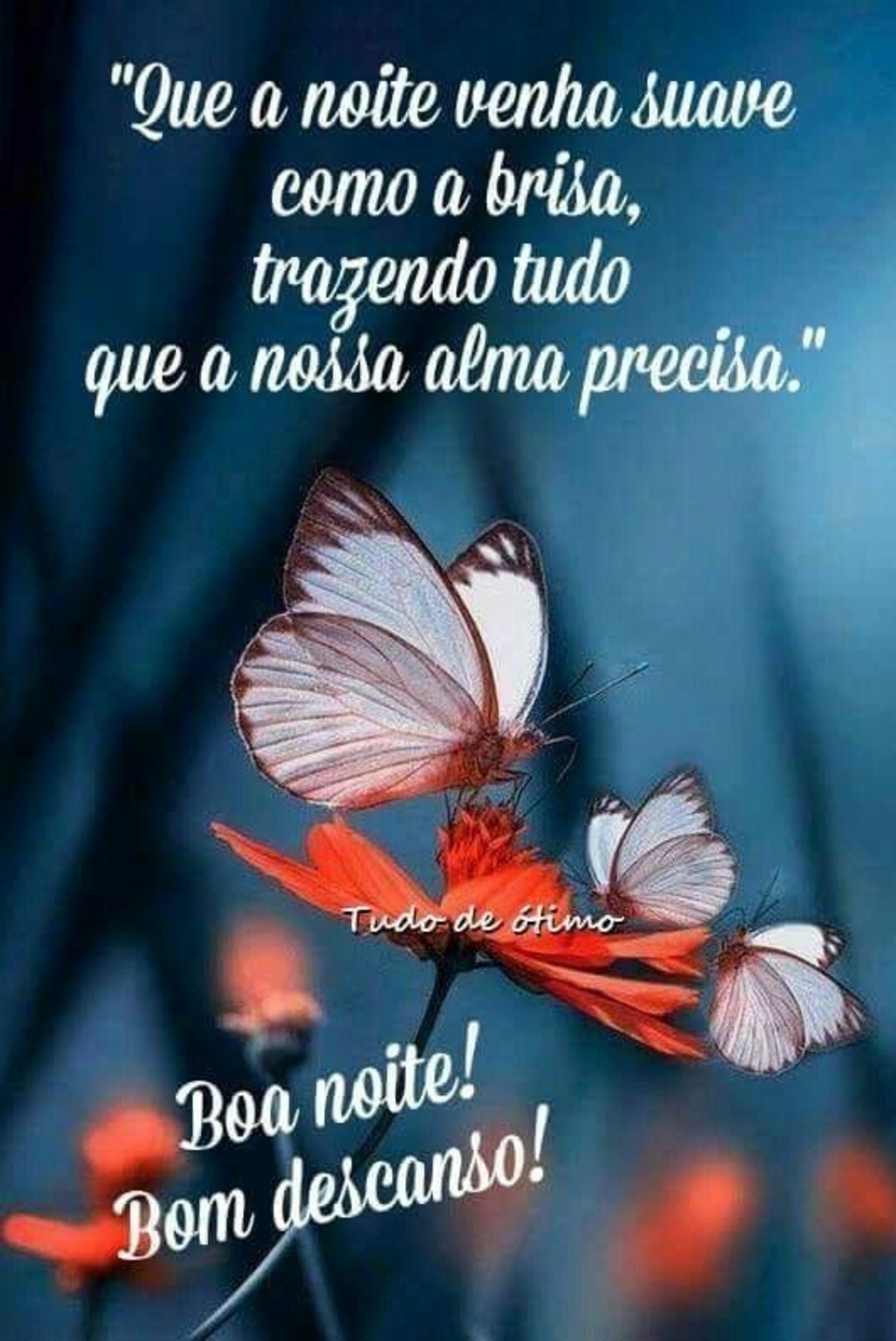 Boa Noite a todos 600