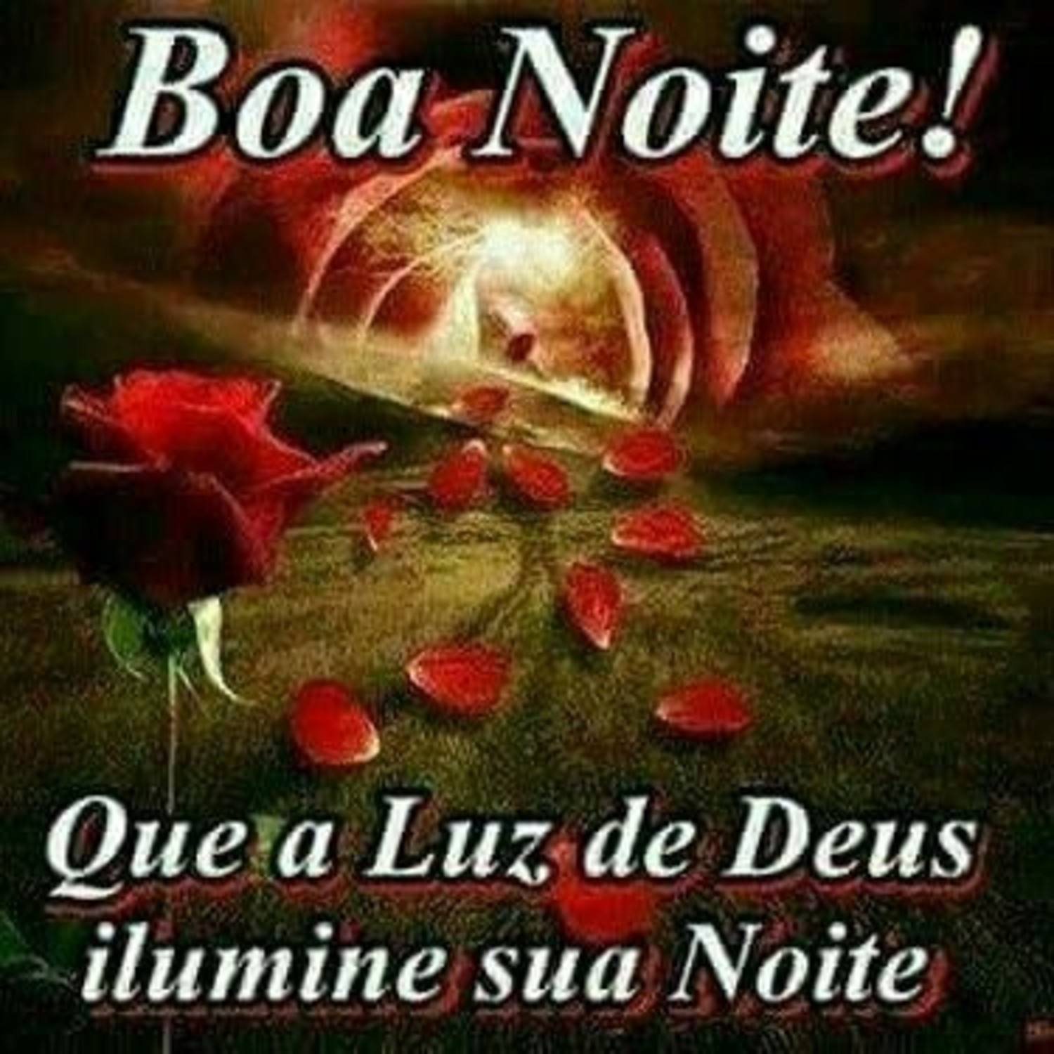 Boa Noite a todos 606