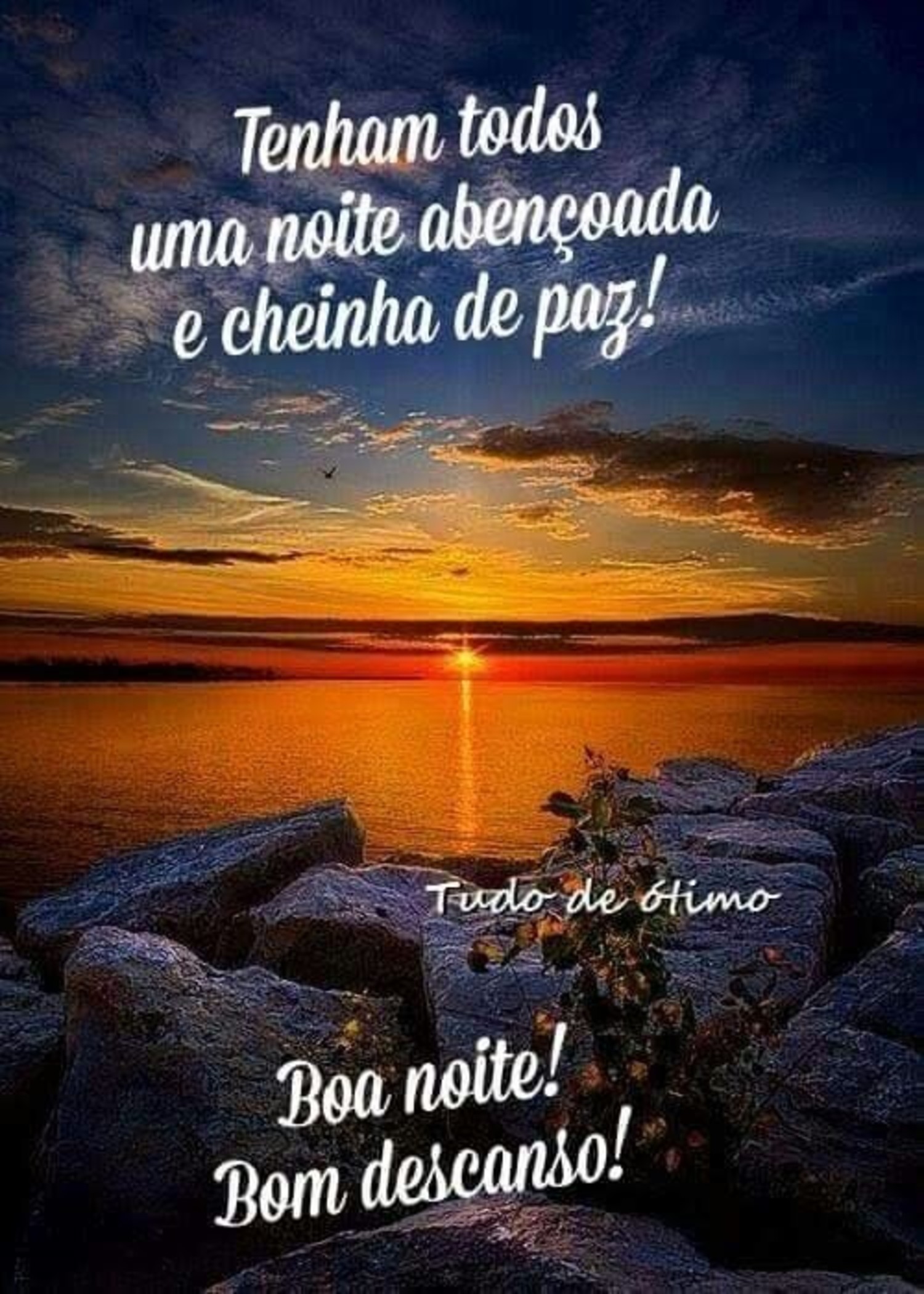 Boa Noite a todos 616