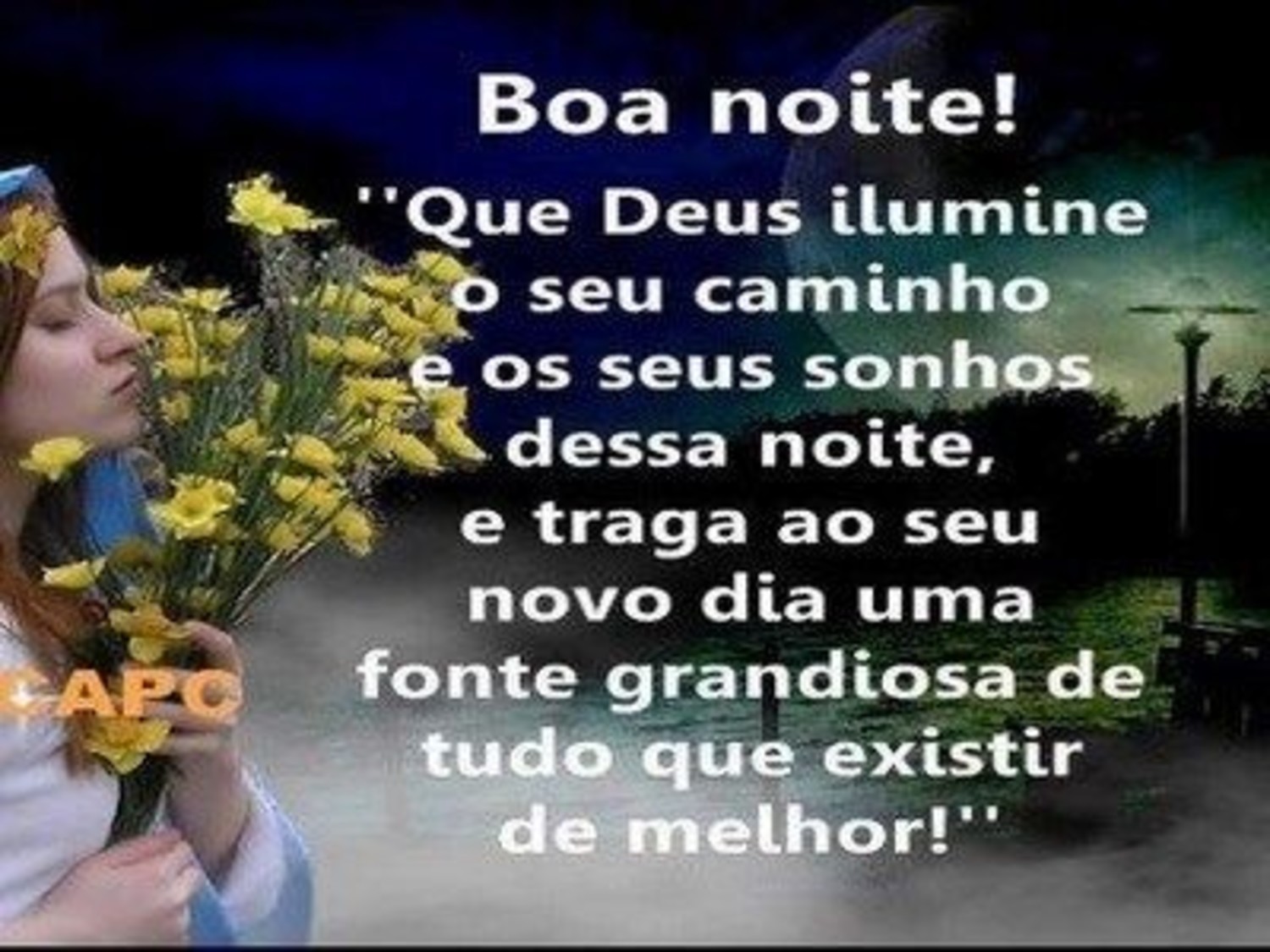 Boa Noite amigos 623