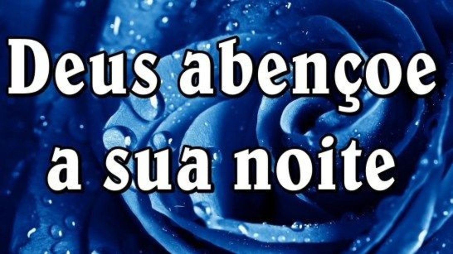 Boa Noite amigos 634