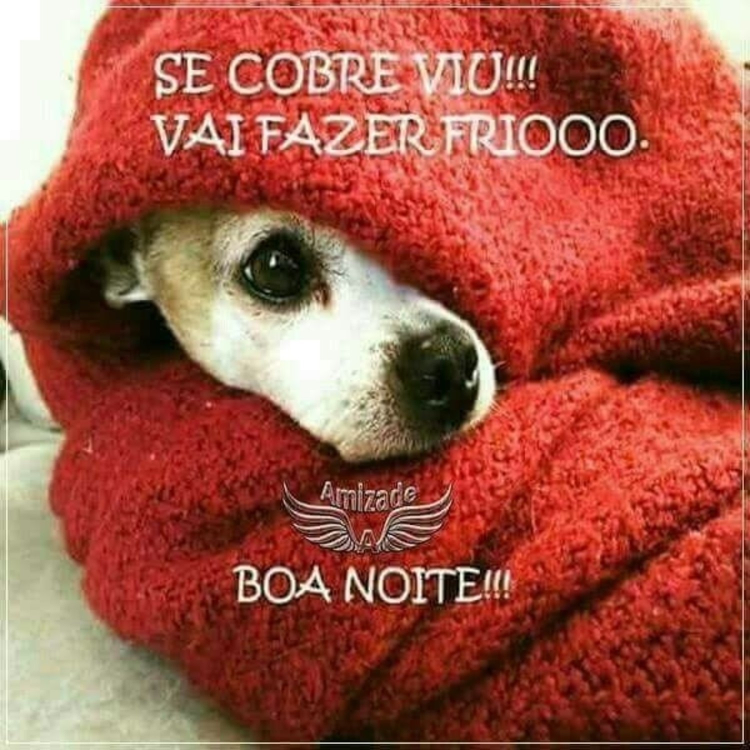 Boa Noite amizade 686