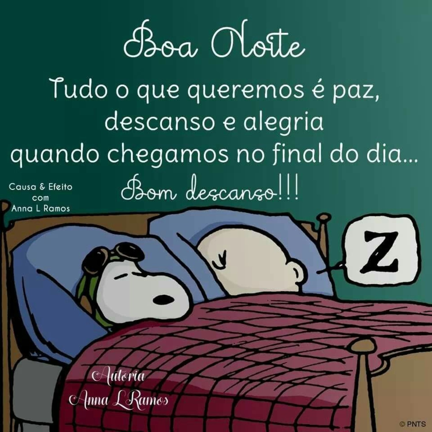 Boa Noite amizade 689