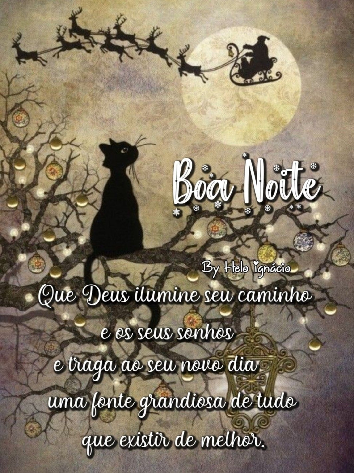 Boa Noite durma bem 731