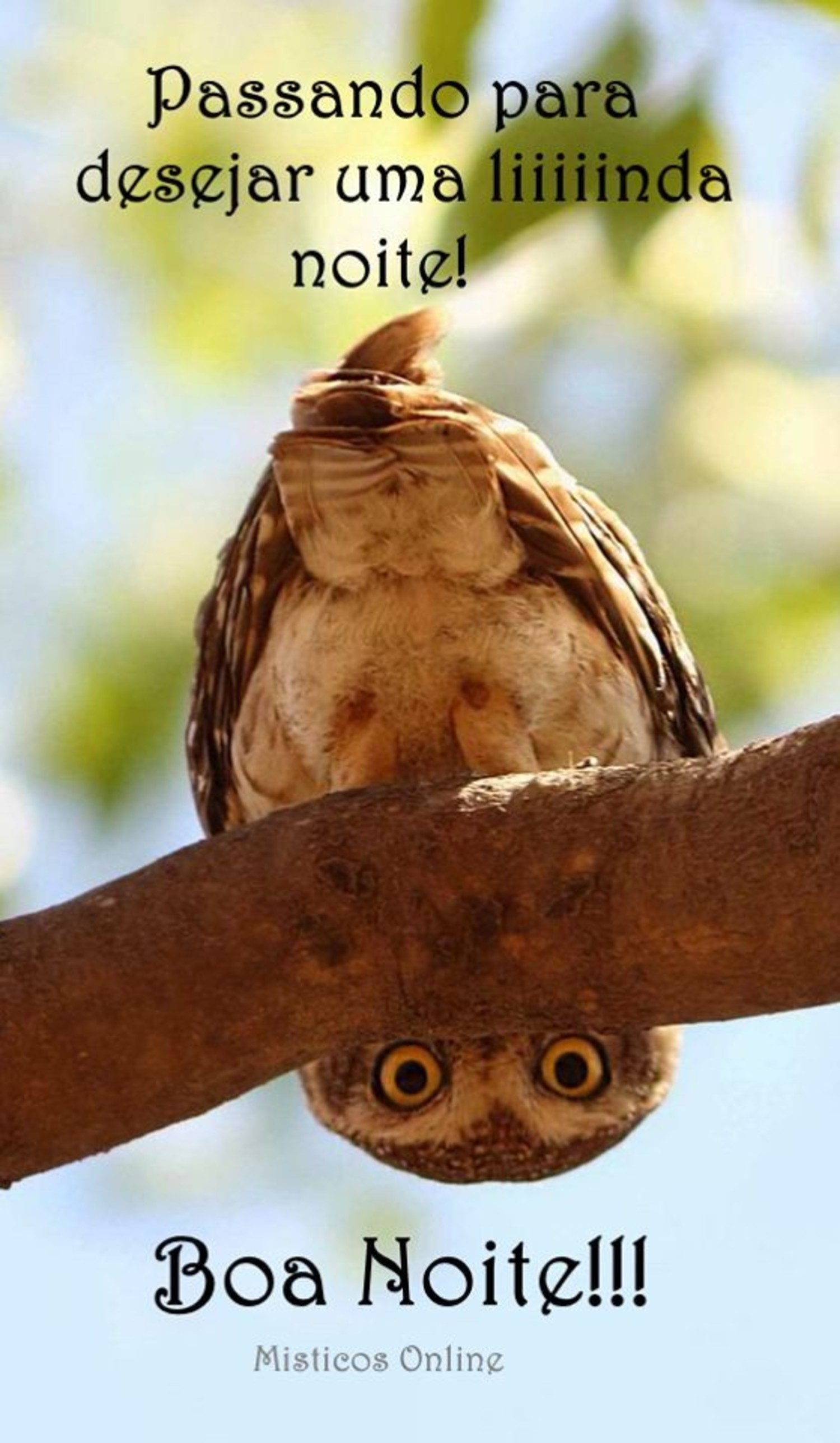 Boa Noite engraçado 669 Boa Noite engraçado 669
