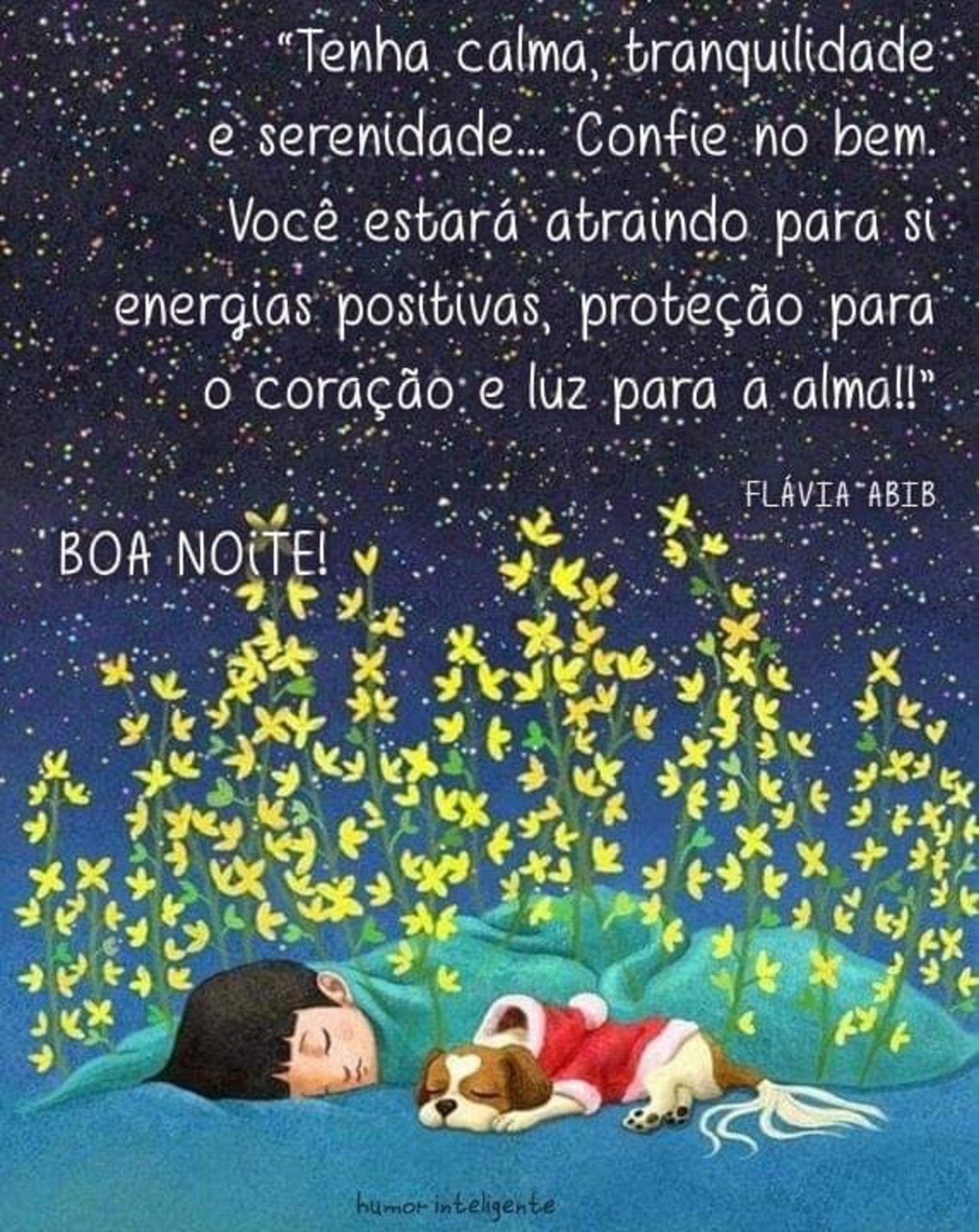 Boa Noite fotos 1053