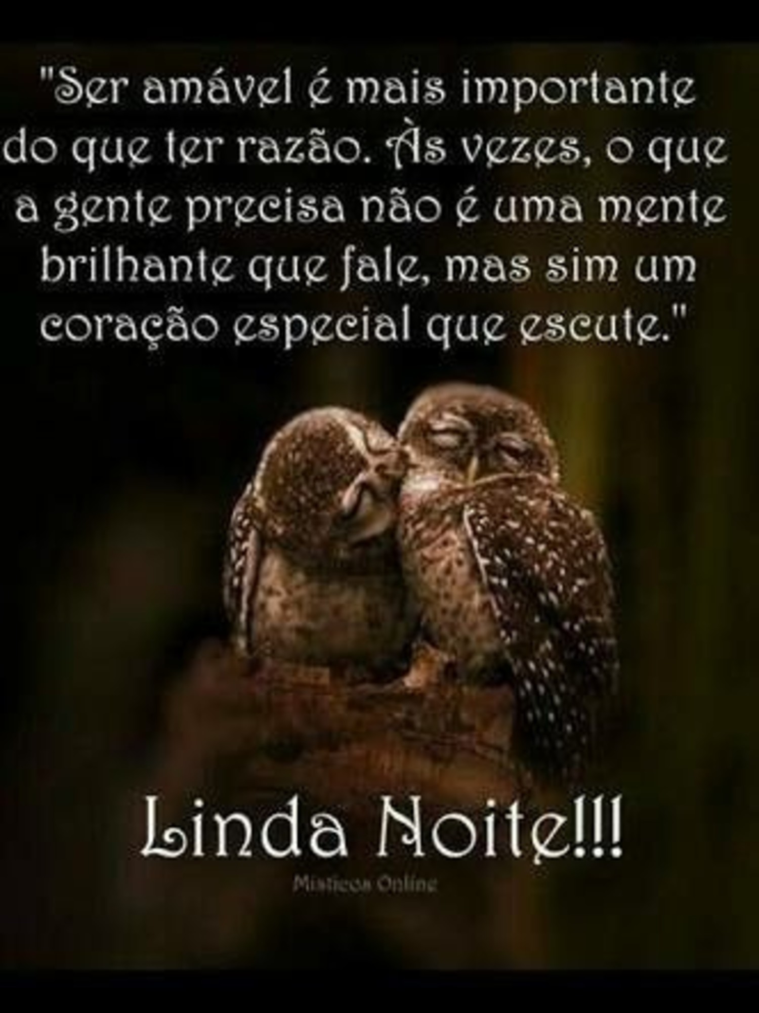 Boa Noite fotos 1054